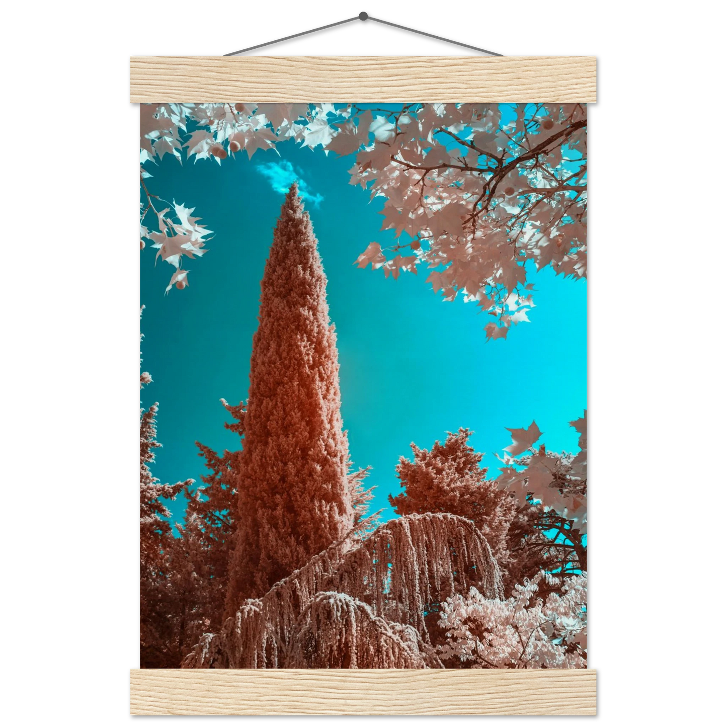 2f2edd94-51cc-4ab6-be23-12235dc0c1f5