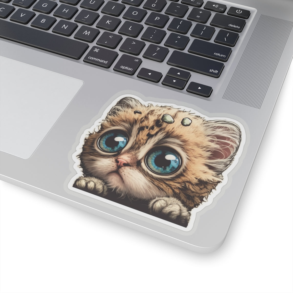 Kiss-Cut Sticker of cute funny cat kitten  for your collection