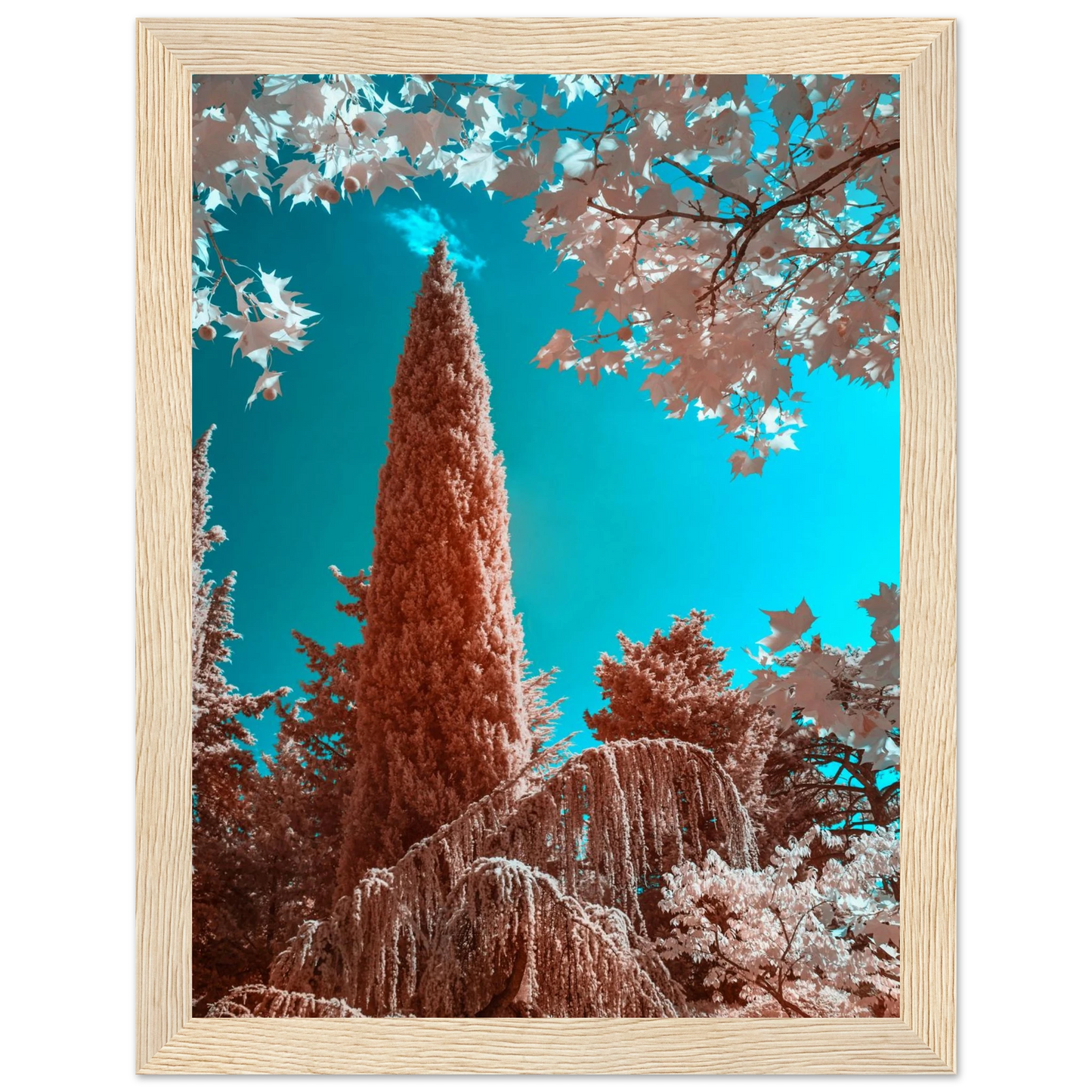 304b3d0f-5ad8-4830-9aff-61b5852742ec