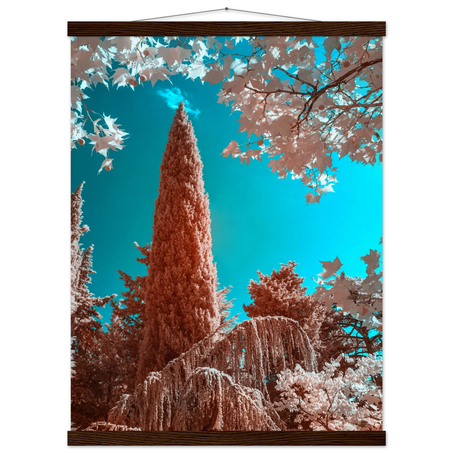 30e018ff-4ec8-47a0-b4ff-0c2ce15aebf8