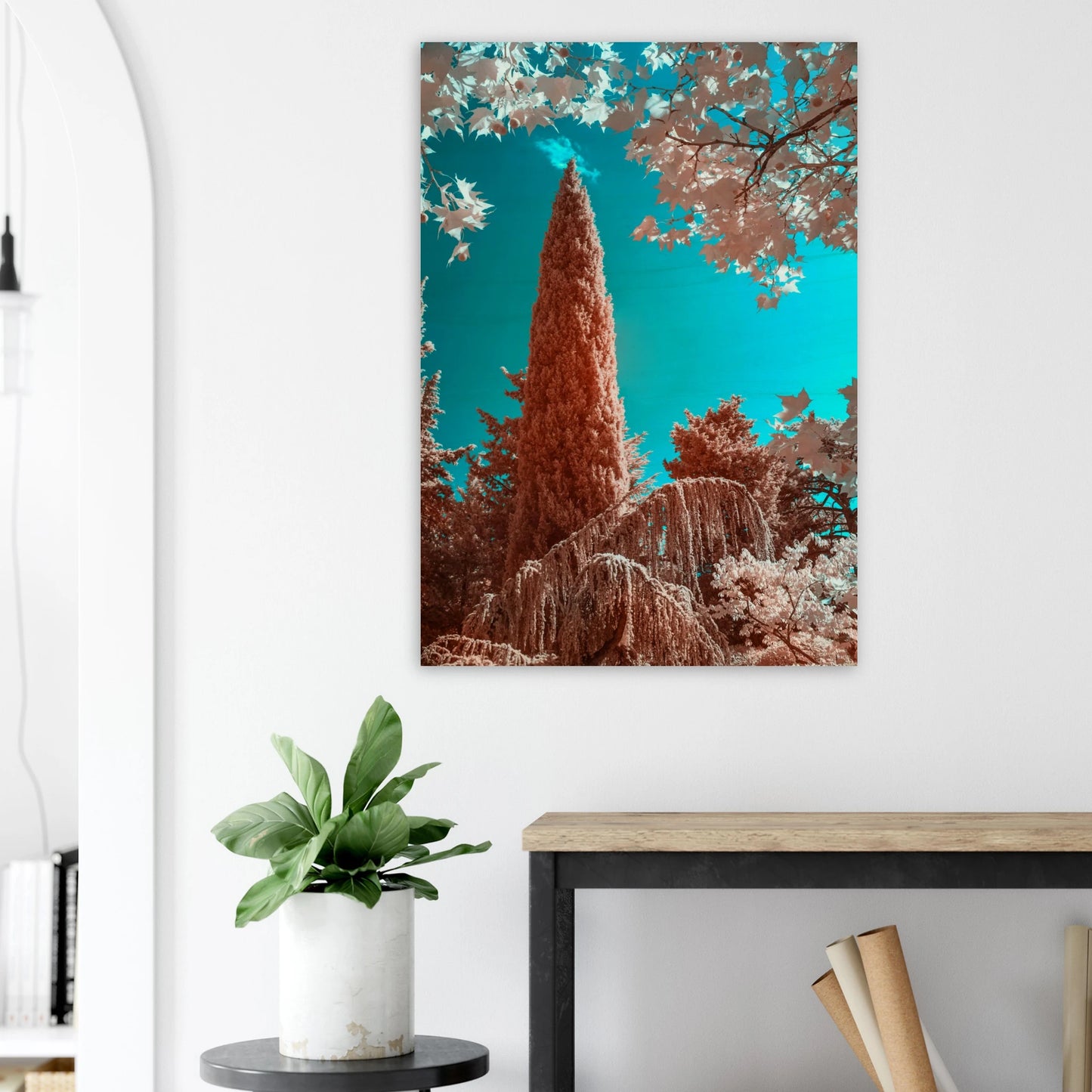 30e4e2c8-f193-42ce-bbf9-e575a4535307