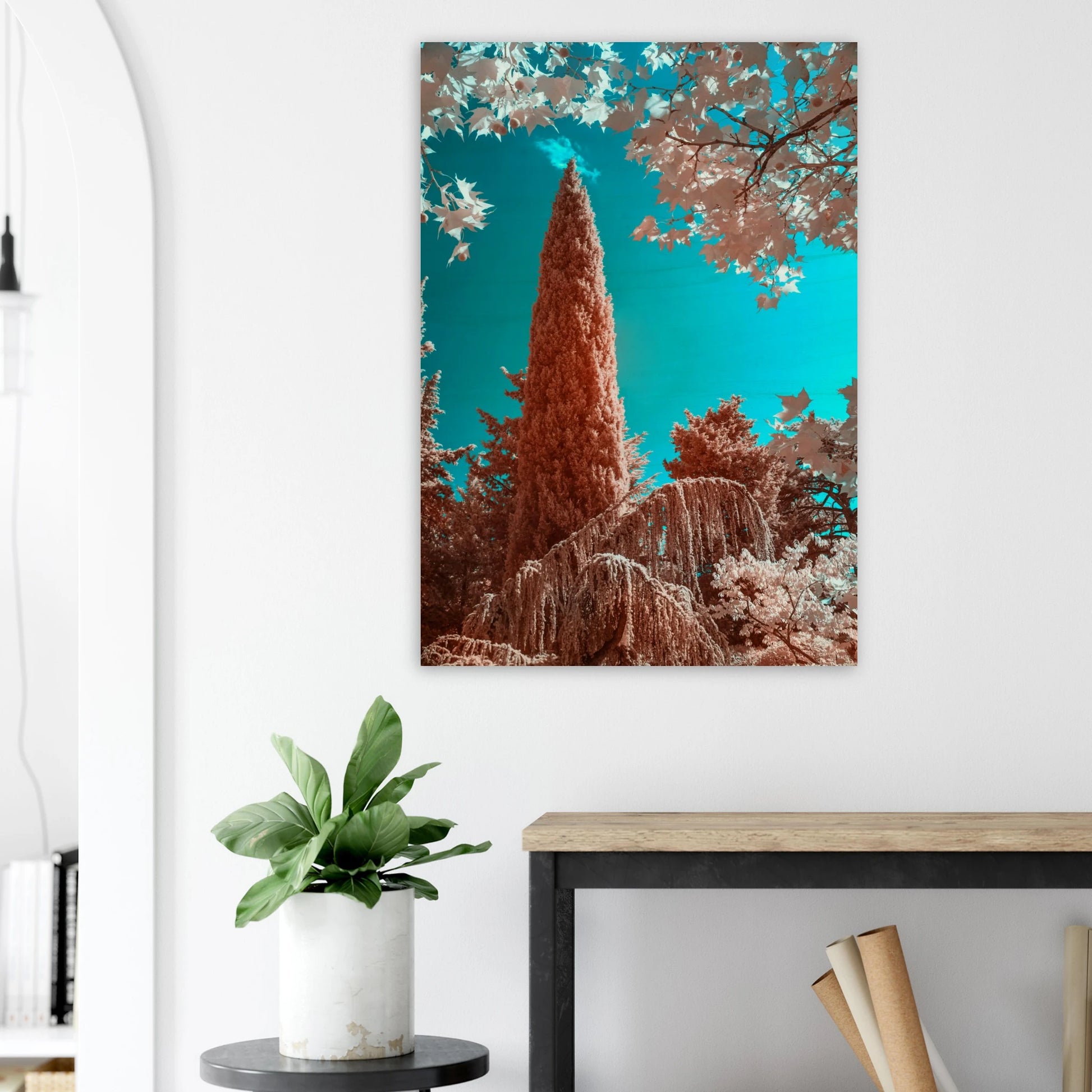 30e4e2c8-f193-42ce-bbf9-e575a4535307