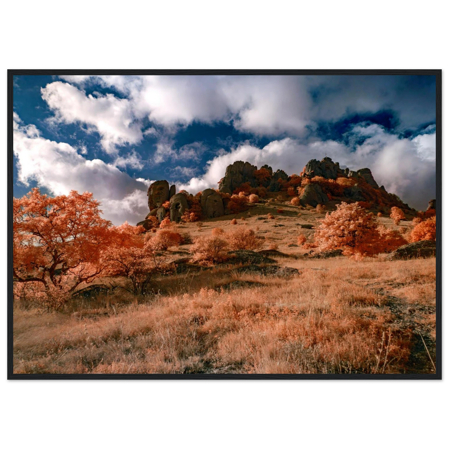 31481555-be67-4157-bccb-bc36a4e29076