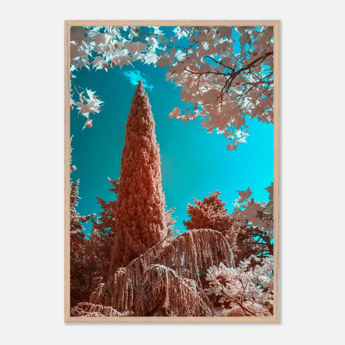 318311f0-c1a7-4f29-8705-1ba8e9a2a7ec