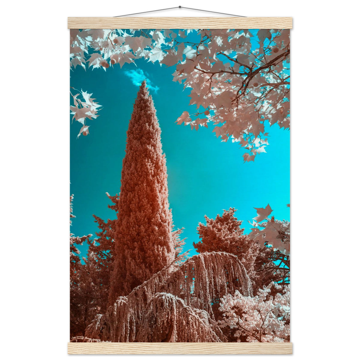 33730838-eb8b-48af-9ed4-ca68af2871a8