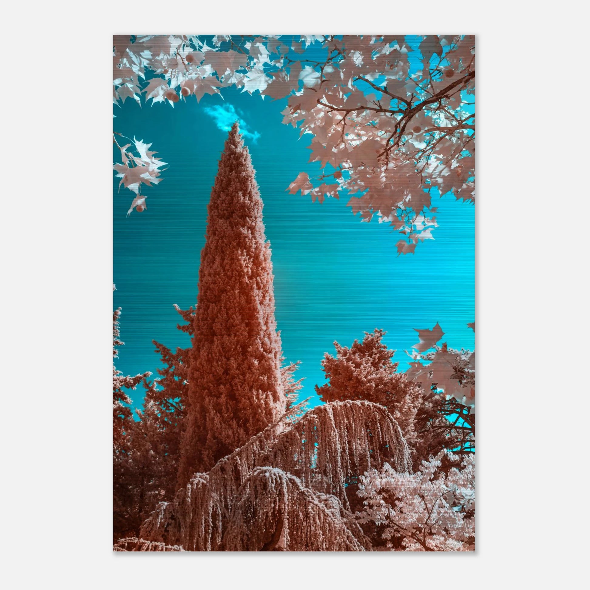 337b2c1c-be65-4088-b433-ce736d39253e
