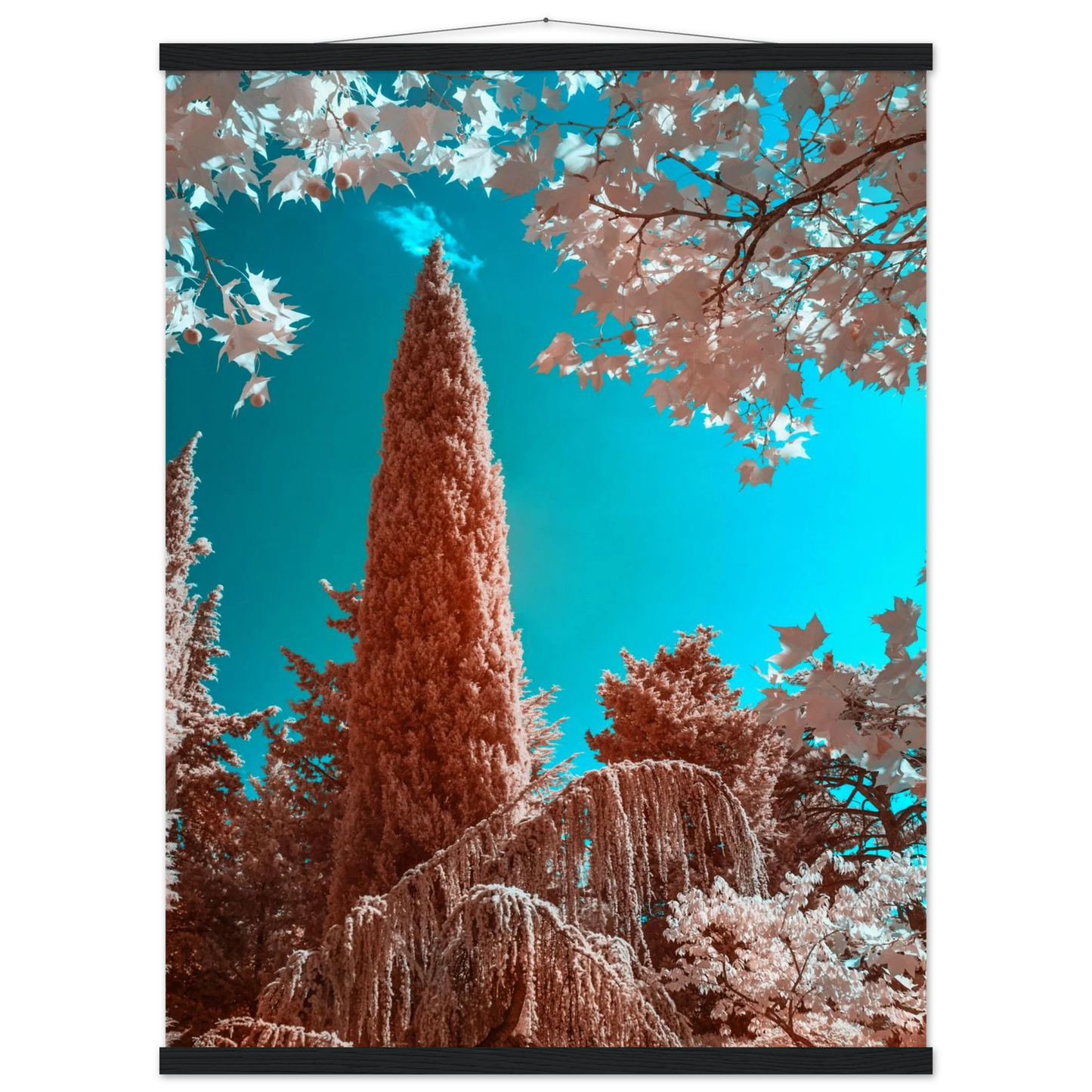 33a908a7-edf3-457e-9f6e-7f132e02bb94