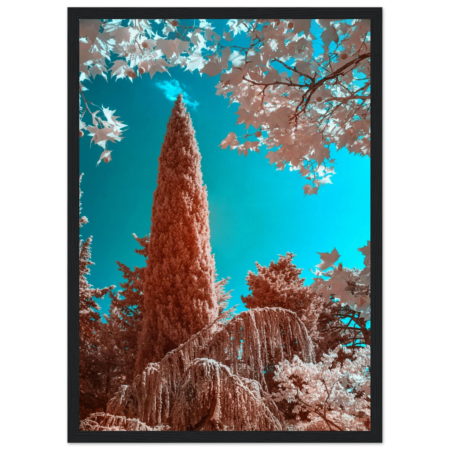 3485e198-5341-4cf8-96e9-f3919e399d33