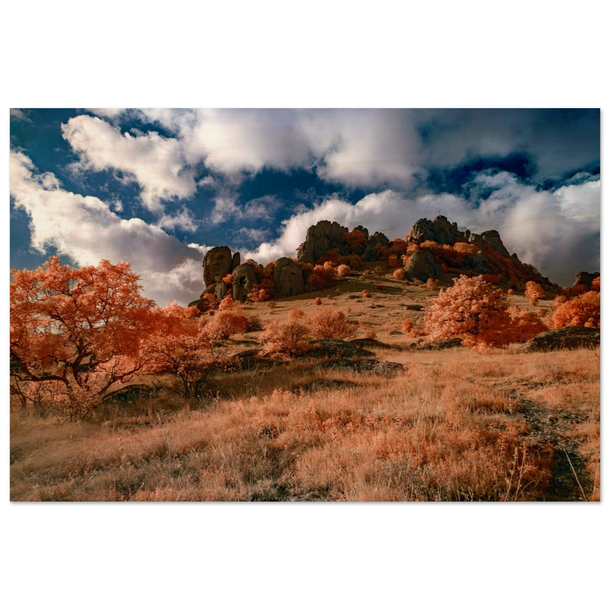 34be46e1-f910-4c46-8540-51eb7f367f7e