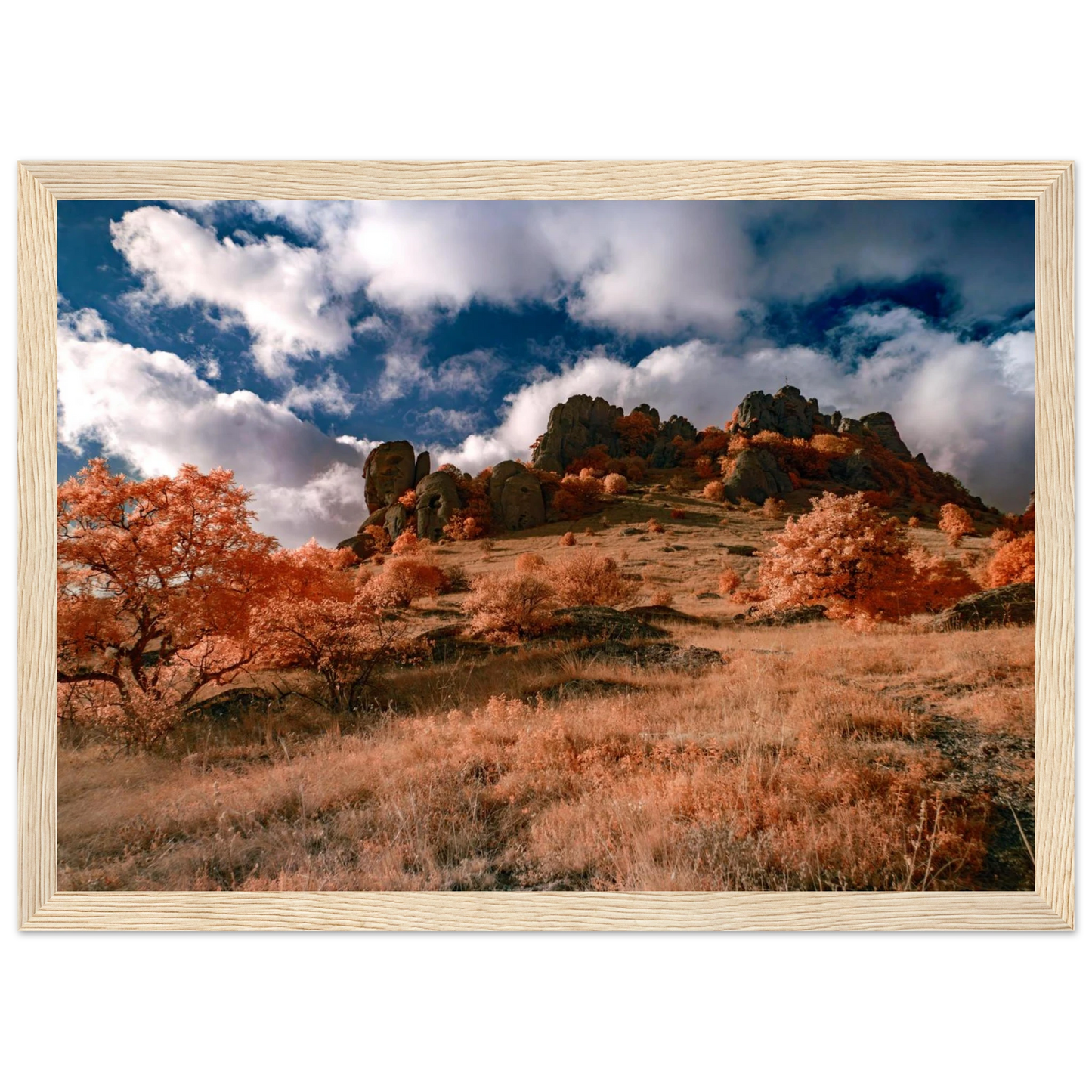 36a6d1dc-20d1-41d4-a830-246254b0189f