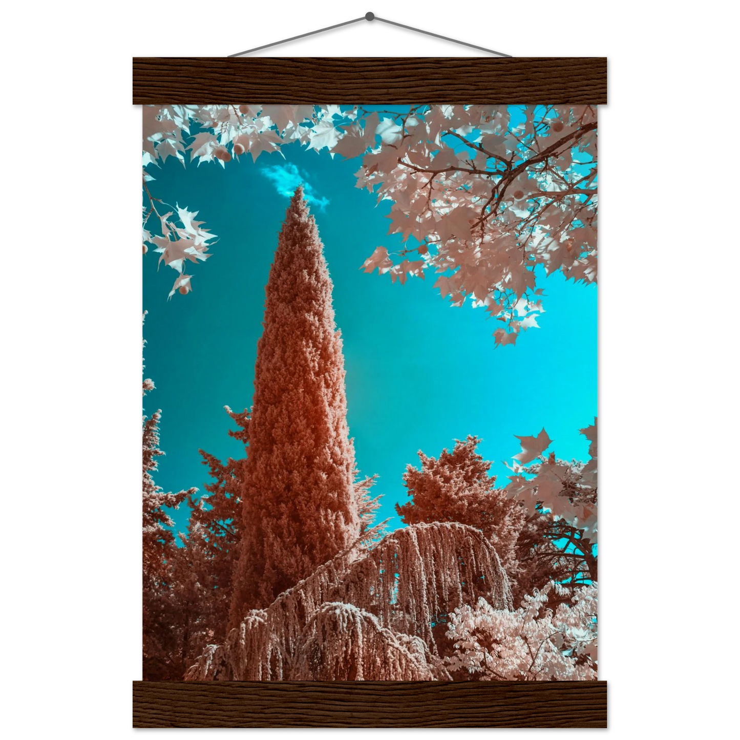 370bc6b8-57f5-4cf2-ac6e-75c8321cd334