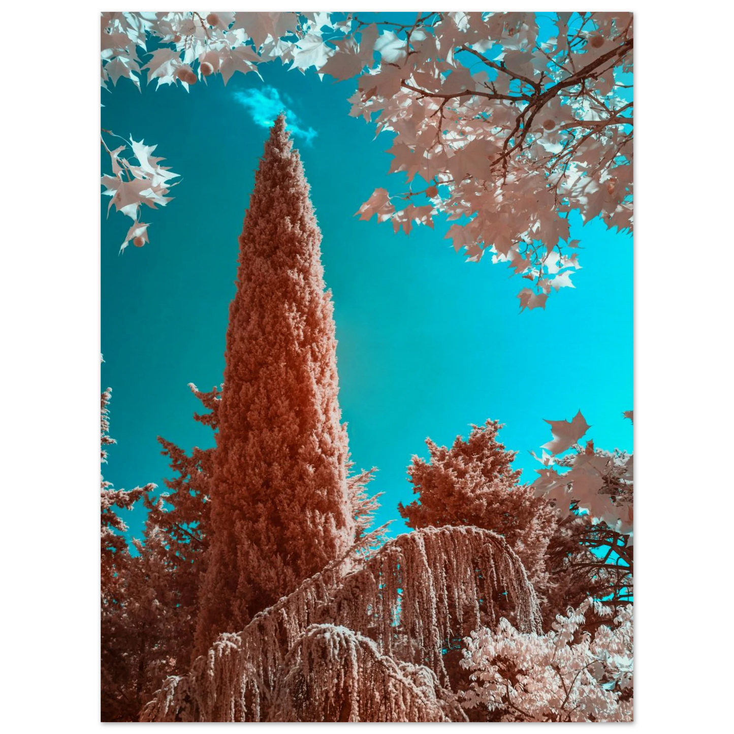 37a65079-0af9-4f87-b2bc-a3a86031d4a0