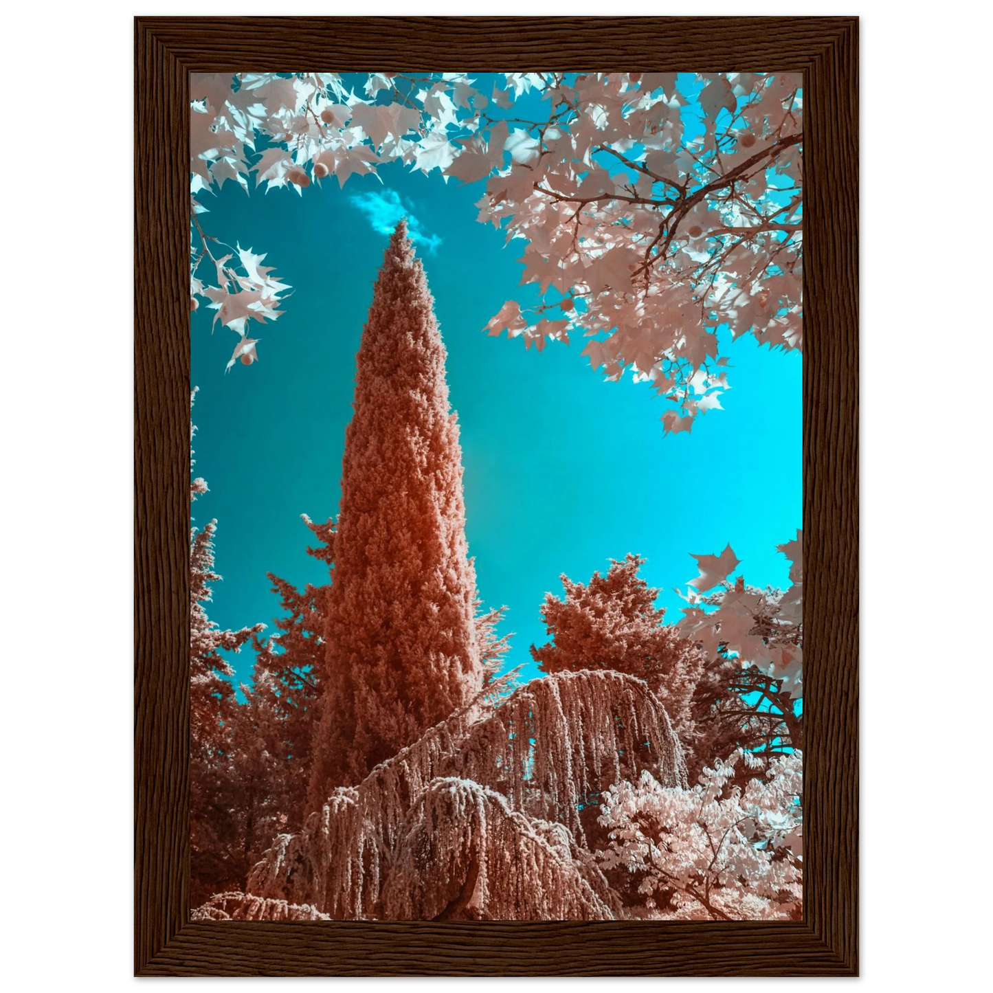 37ad4008-8fe4-40da-a04c-bc939ea9e8b5