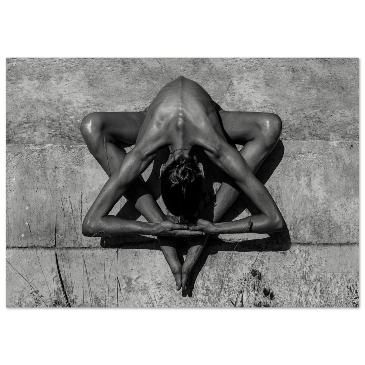 39c6abcd-4d46-47d1-b0cc-dff333525420