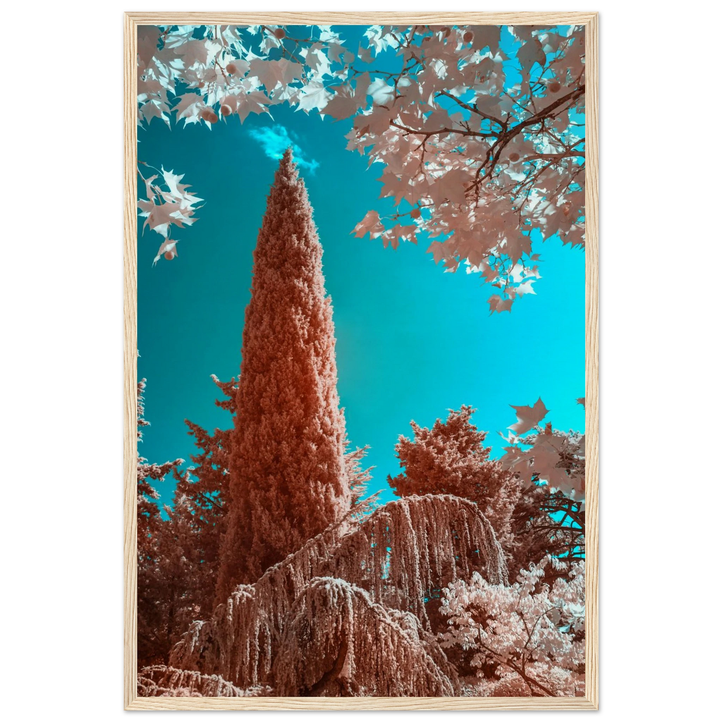 3a8d37d0-f0cd-498d-8d53-d2ca533306ce