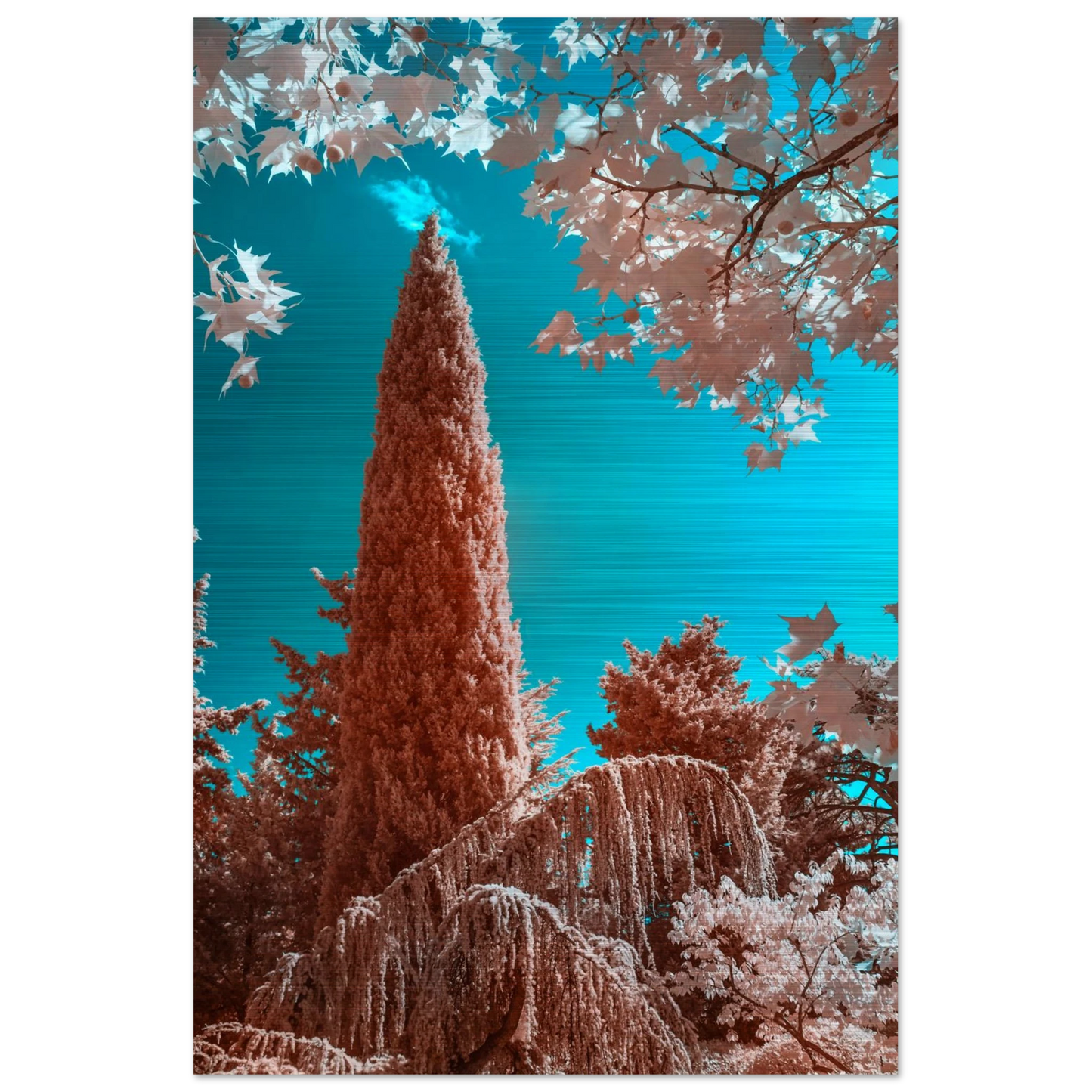 3ae17e9d-9888-424d-a642-087d6940aa9a