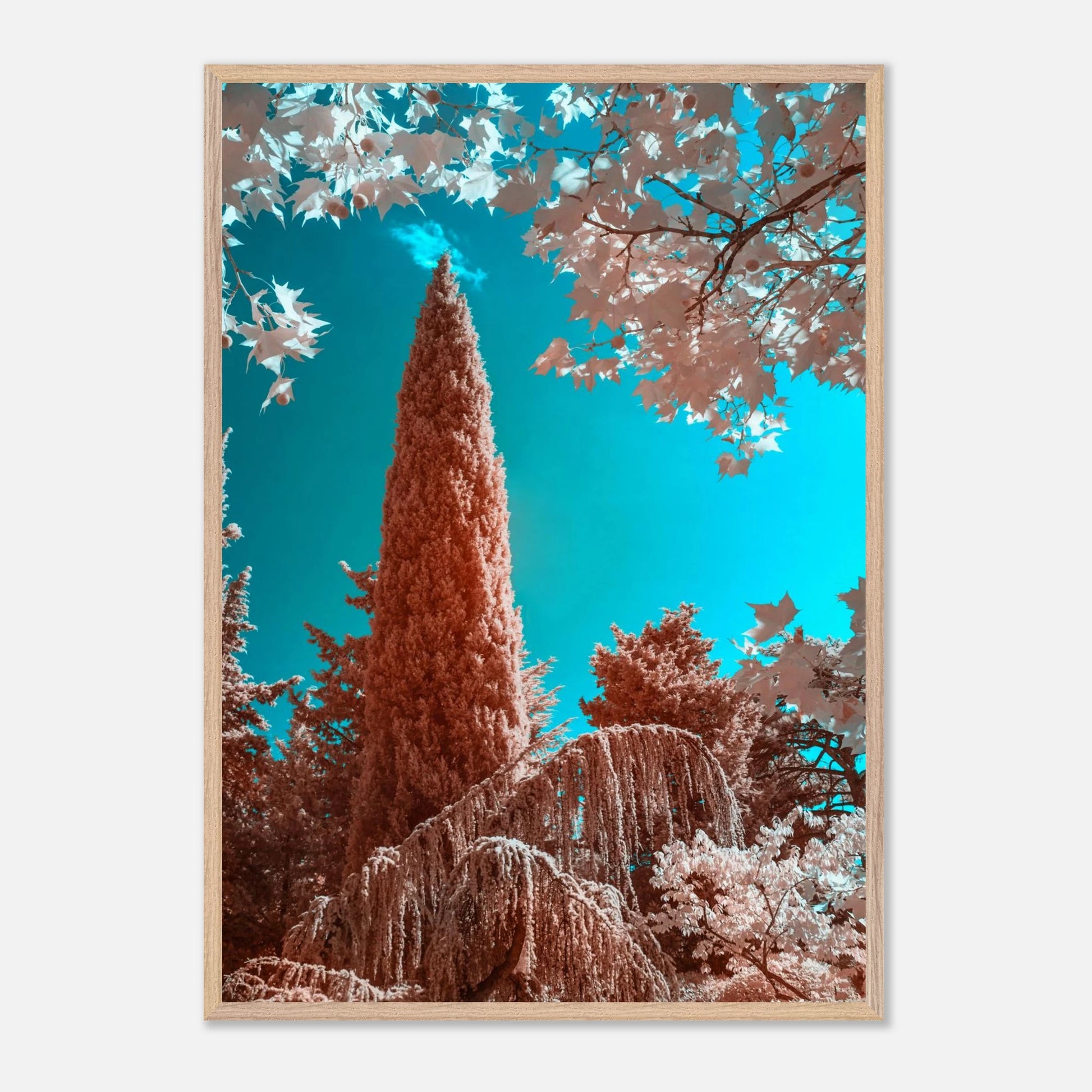 3b2ef546-8e89-49f9-a377-8d0d813783db