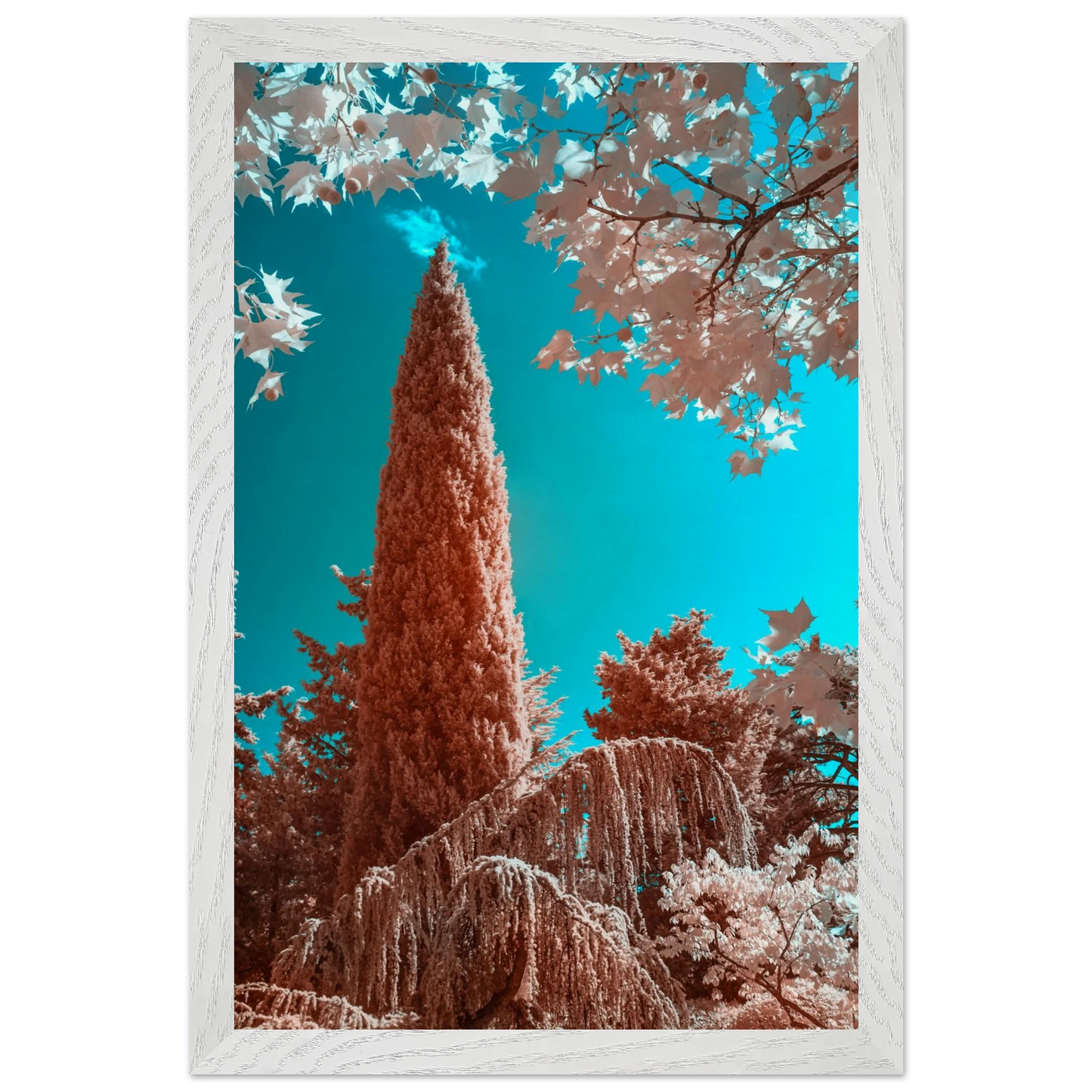 3b3270a9-644d-4d3d-b3ac-04dc2340bc40