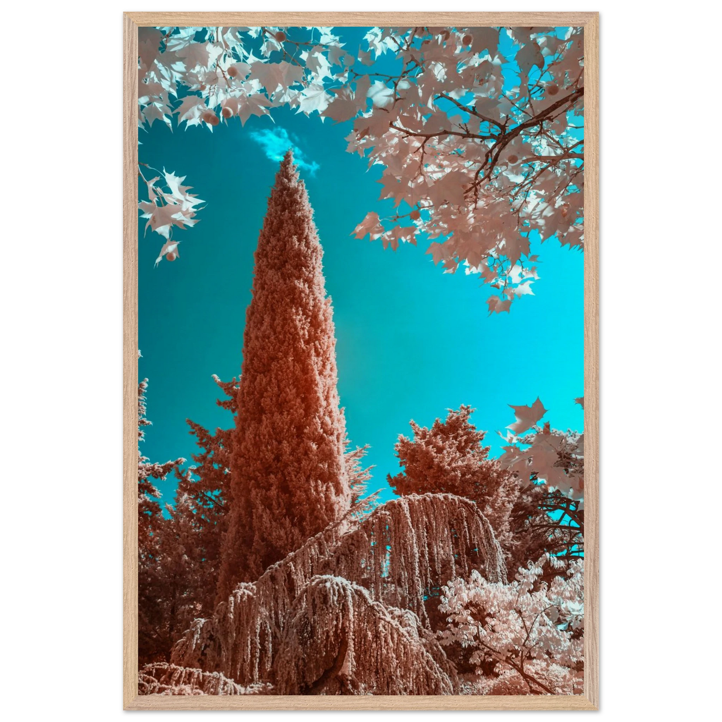 3c33f2e6-464b-46c8-b0fd-141fc7a539b0