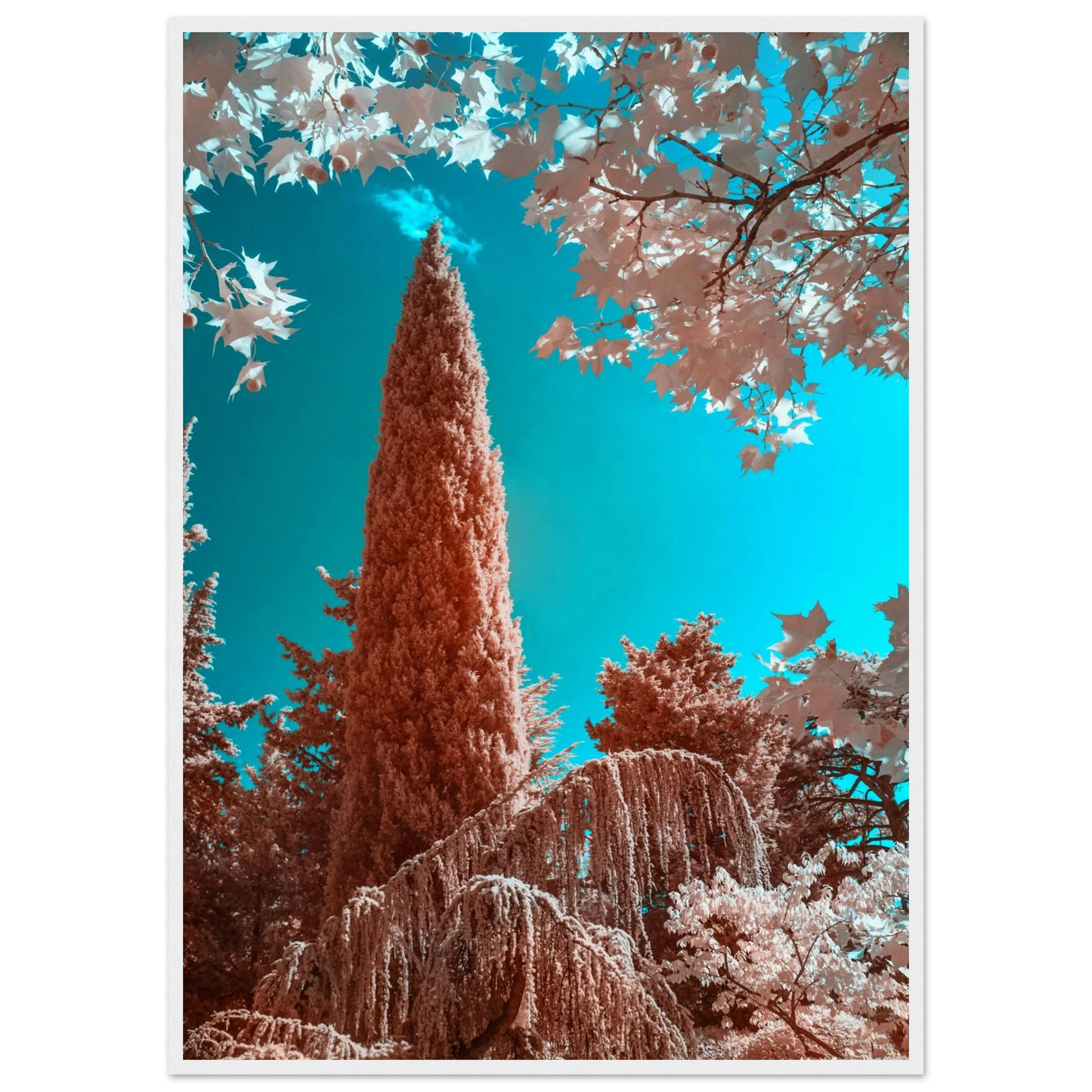 3c8cb449-aa5e-4ec8-981a-269393df3c7a