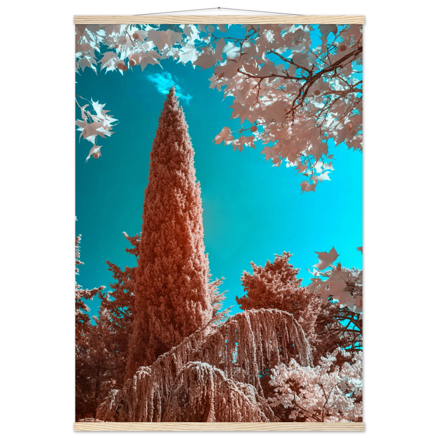 3d31f6b1-ad58-466b-af6d-f3ab343e8476