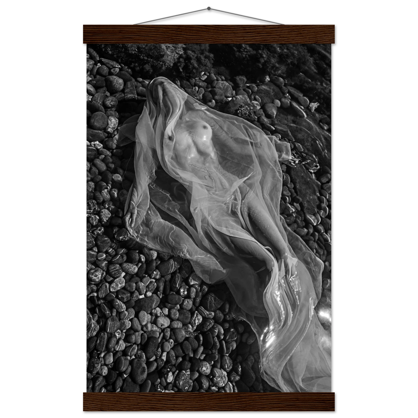 3d583412-831e-42a4-8eae-e07e4dcb0c99
