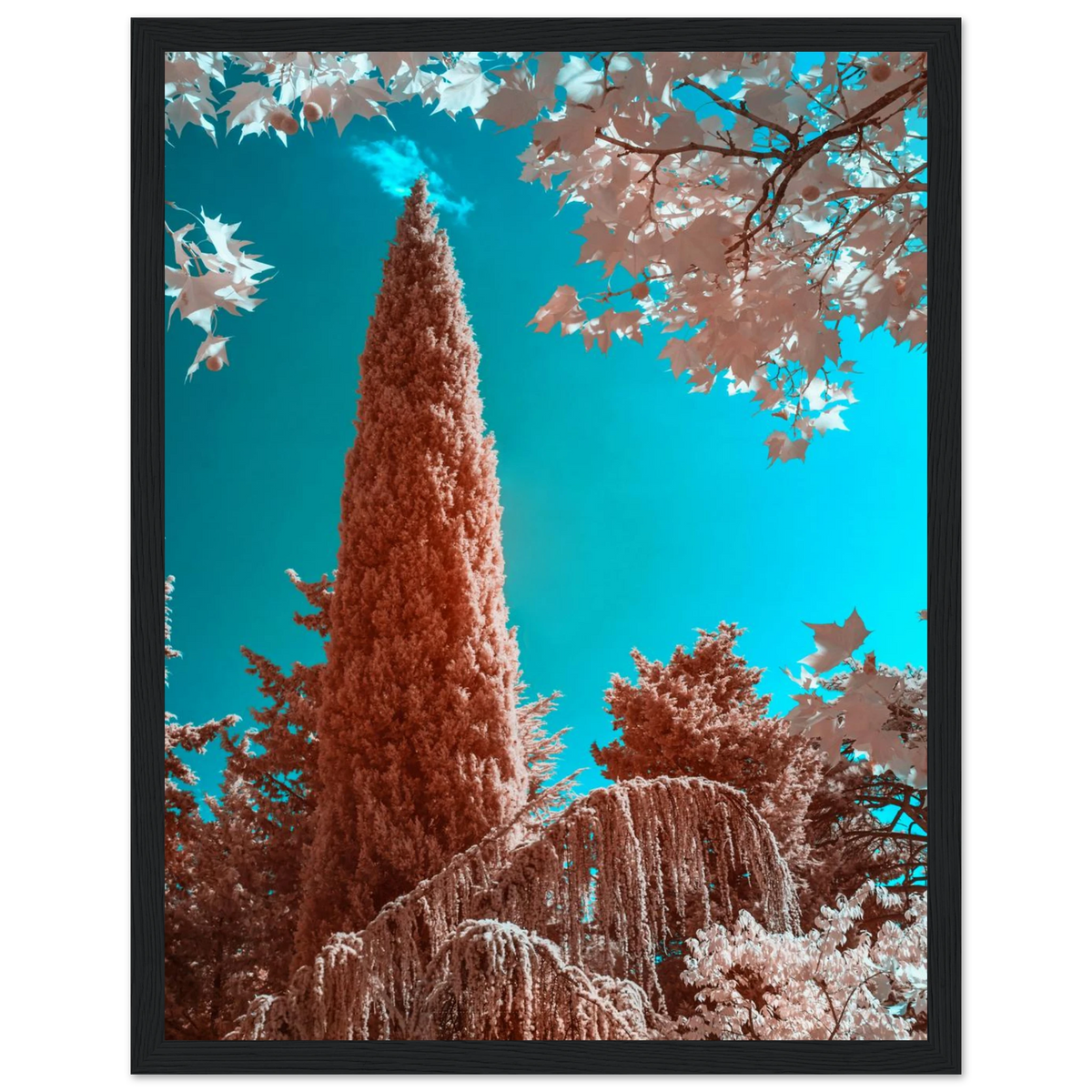 3d8e6093-7e62-4367-92db-d9dea70c55d4