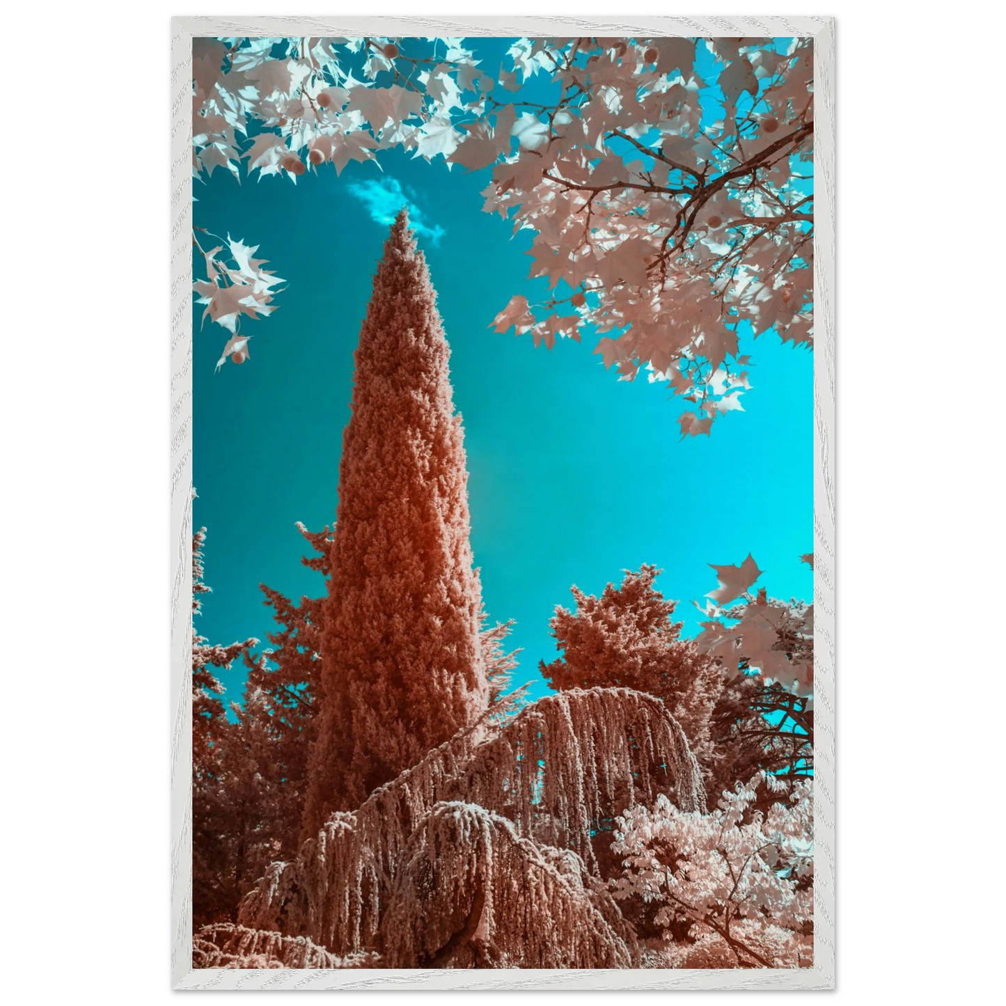 3f3af0c3-5cbf-4285-993e-e3174dfb0d84