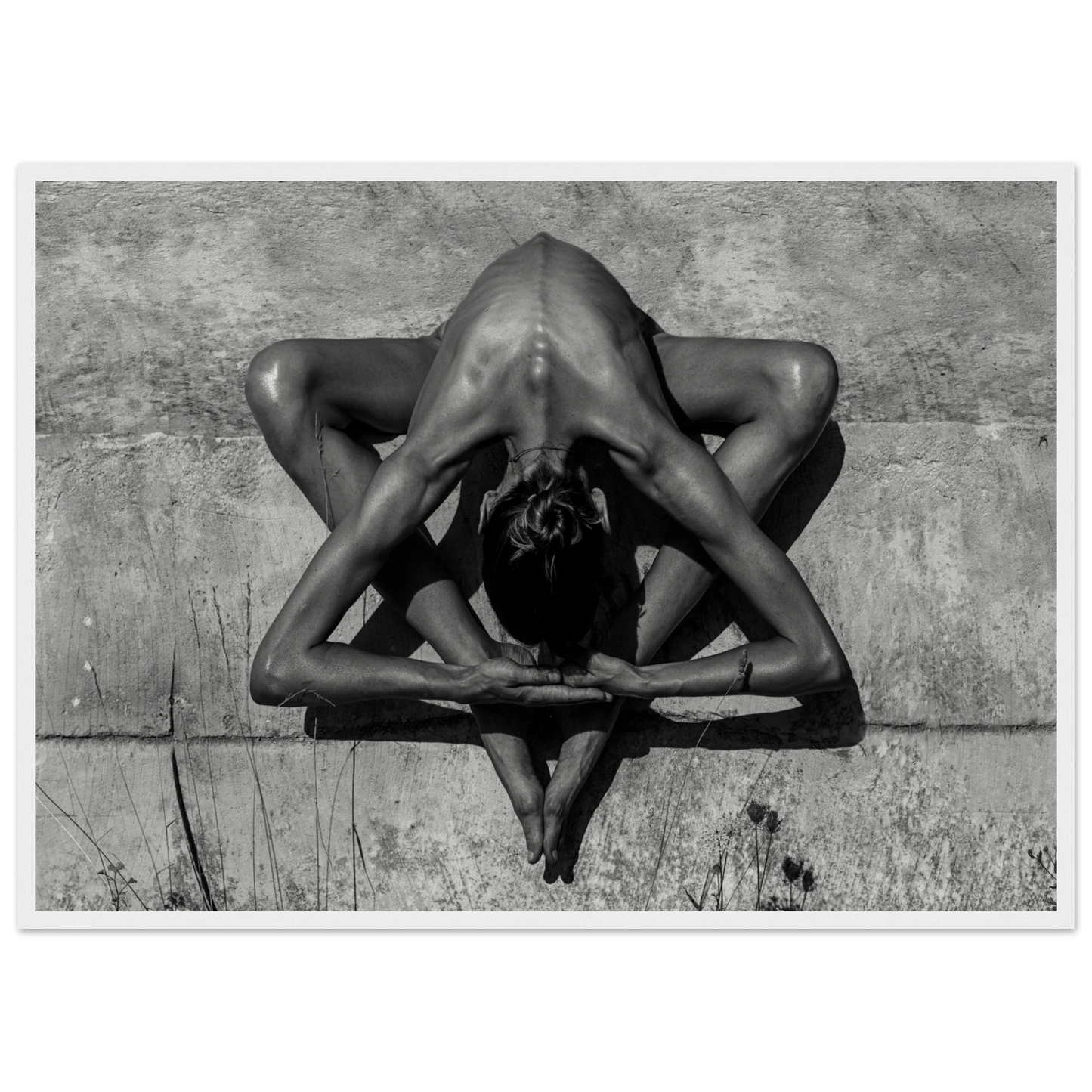 3f4481f1-4f8e-4690-a7a7-76a816d4a26c