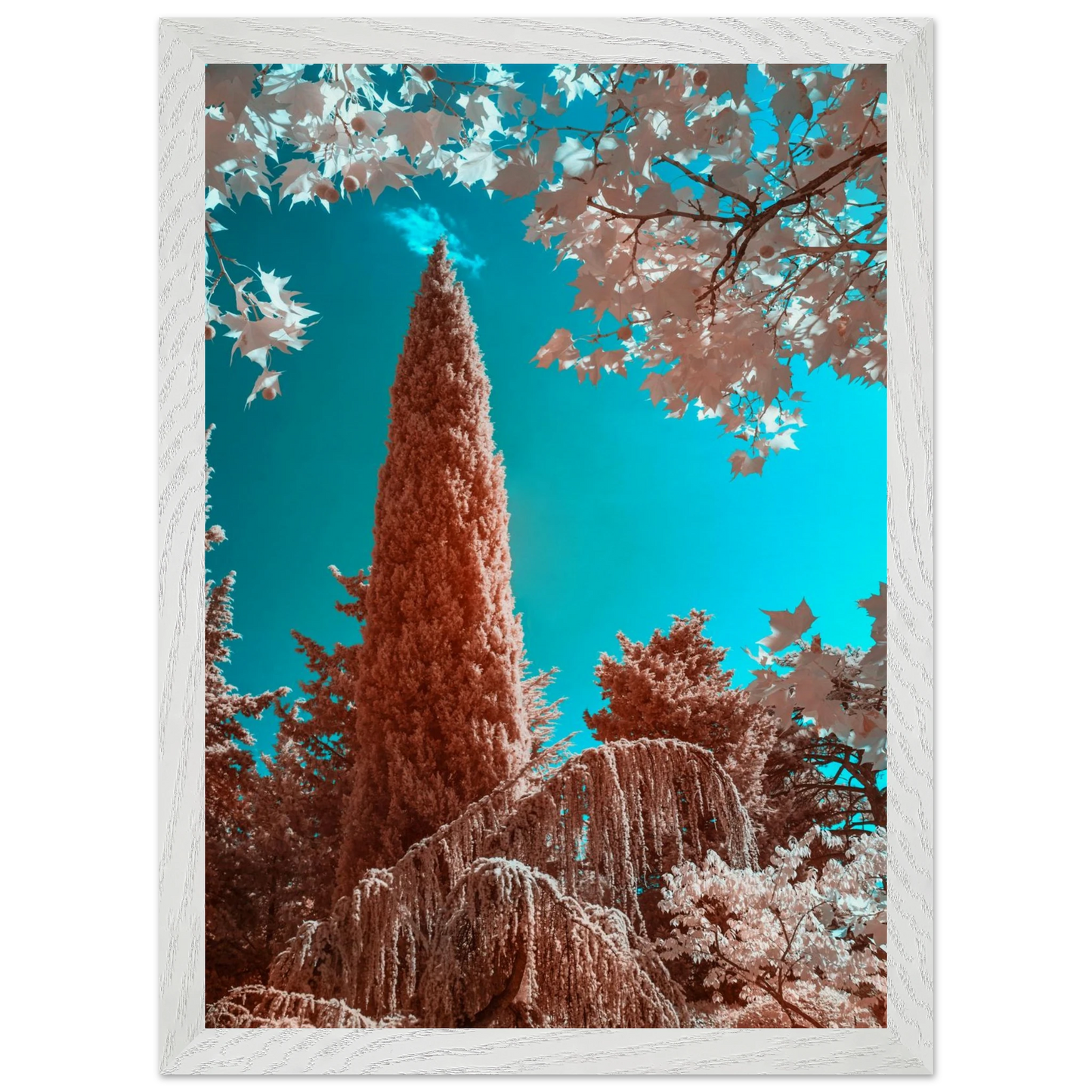 3f83eef0-3185-4a61-bd80-169986fd73e8