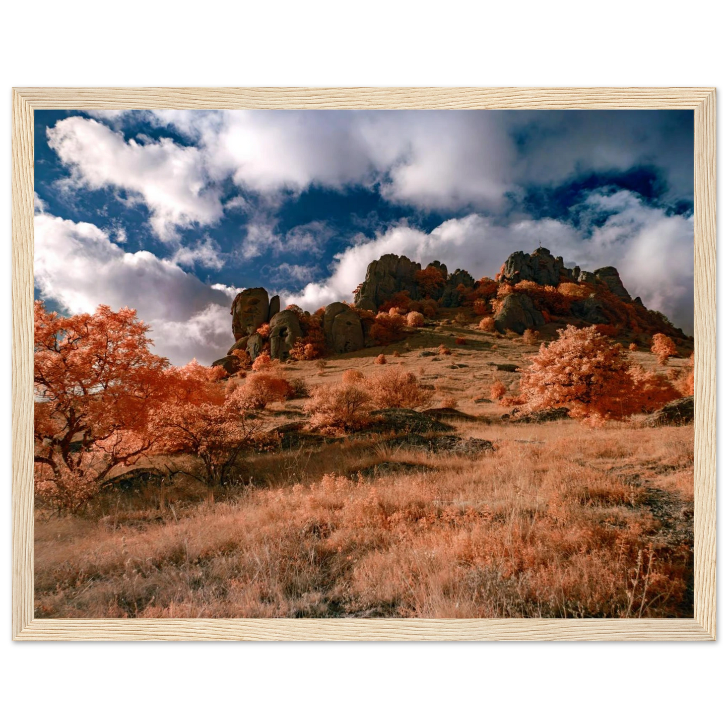 4055b1fa-c0b0-4264-a6d4-750732669fea