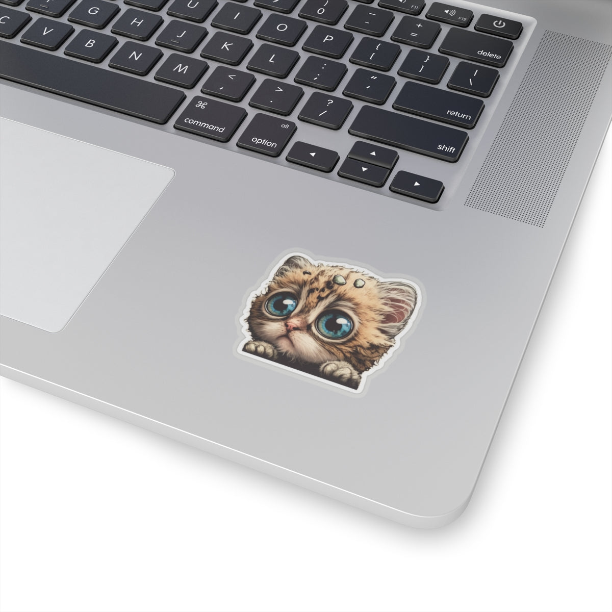 Kiss-Cut Sticker of cute funny cat kitten  for your collection