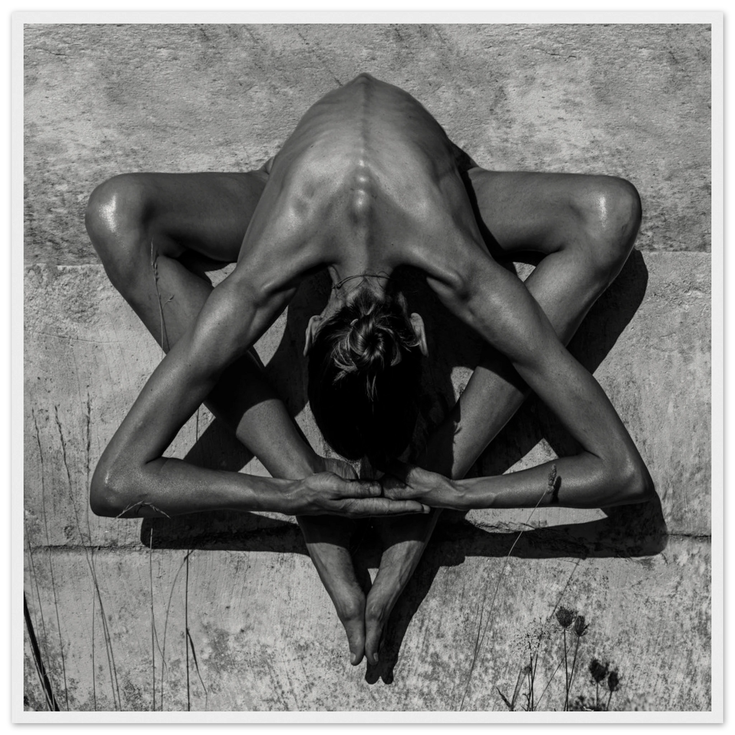 41221a01-485b-449e-bb96-2c3880d36b11