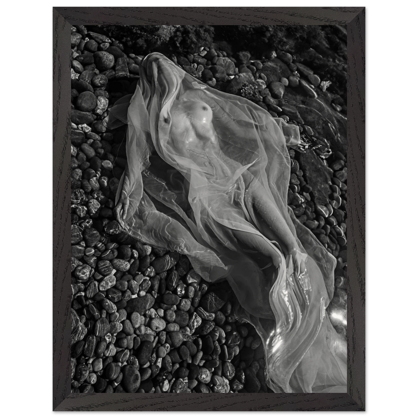 41df72ec-f270-4ad7-972b-4665d485c39a