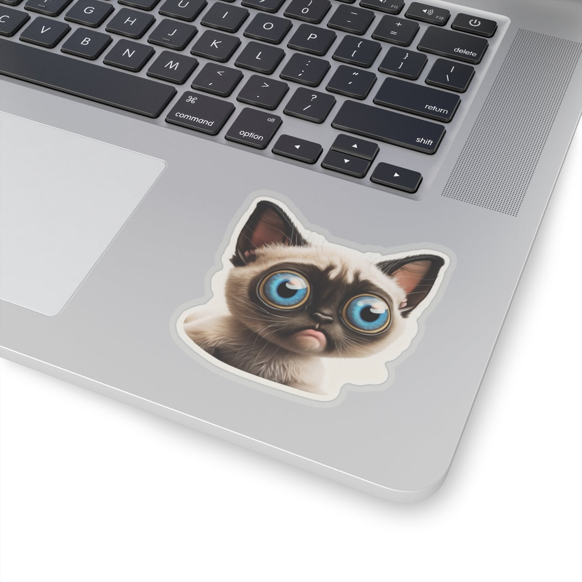 Kiss-Cut Sticker of cute funny cat kitten  for your collection