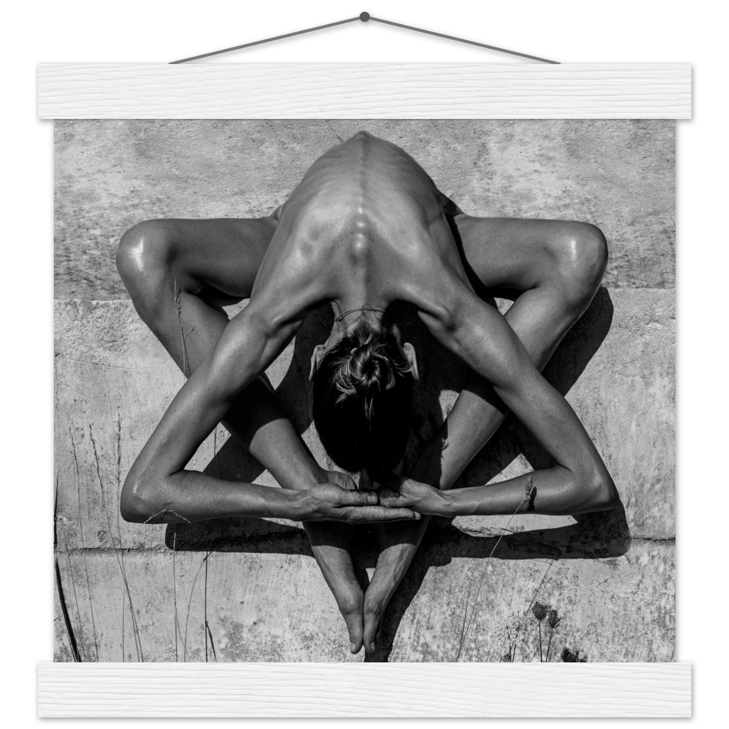 42e042e4-5831-4d16-afc0-fcbaed8aff78