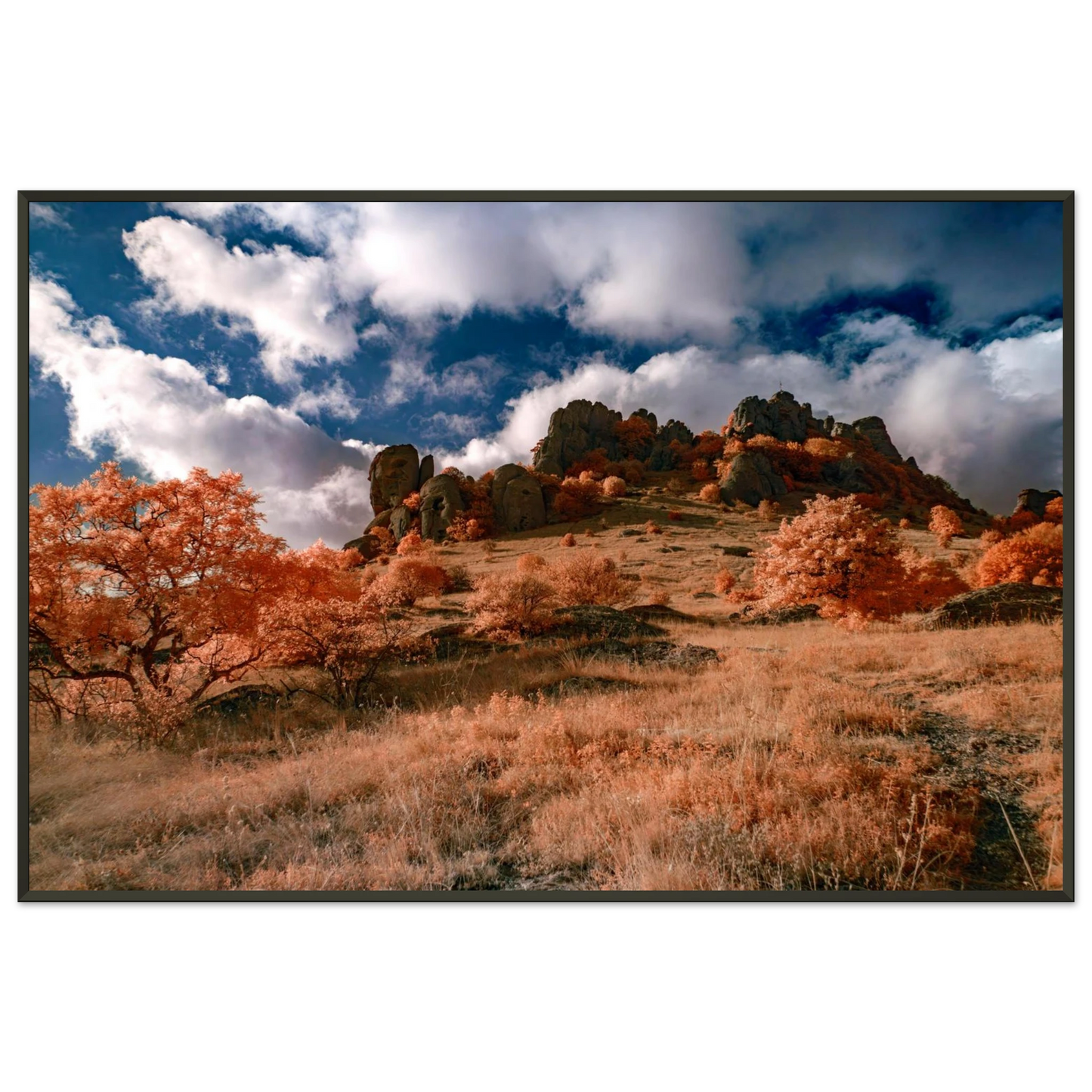 4390b7dc-2cb5-4665-a840-bc4d350400bd