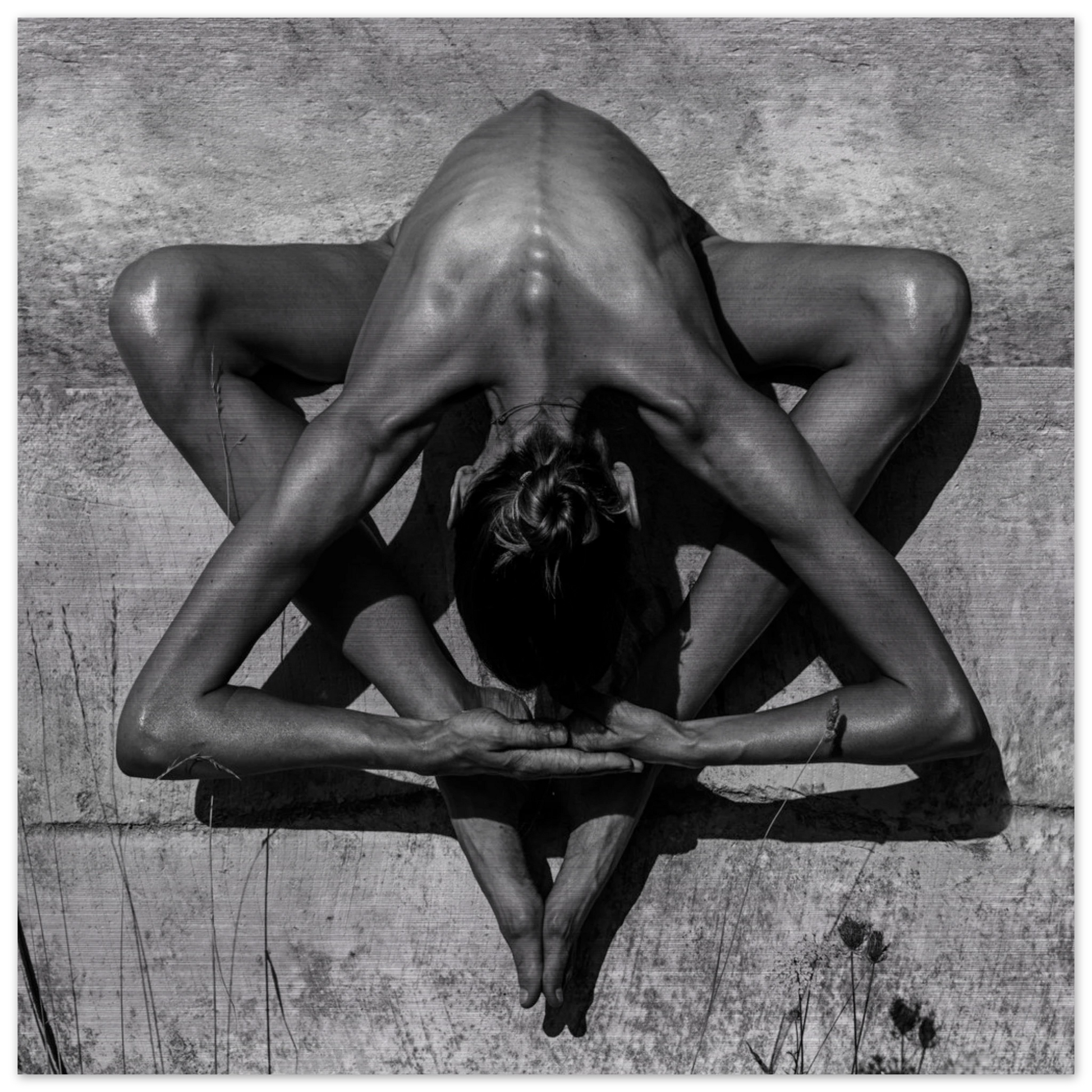 43958d4e-176e-4e0b-988d-ad431f44ffbd