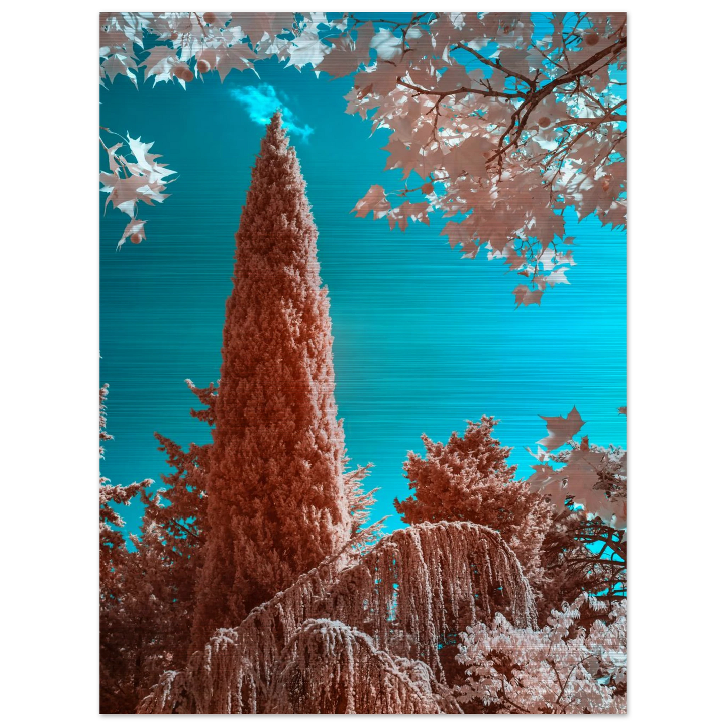 44086d54-2cba-4f22-84b6-c6b8a518bc2d