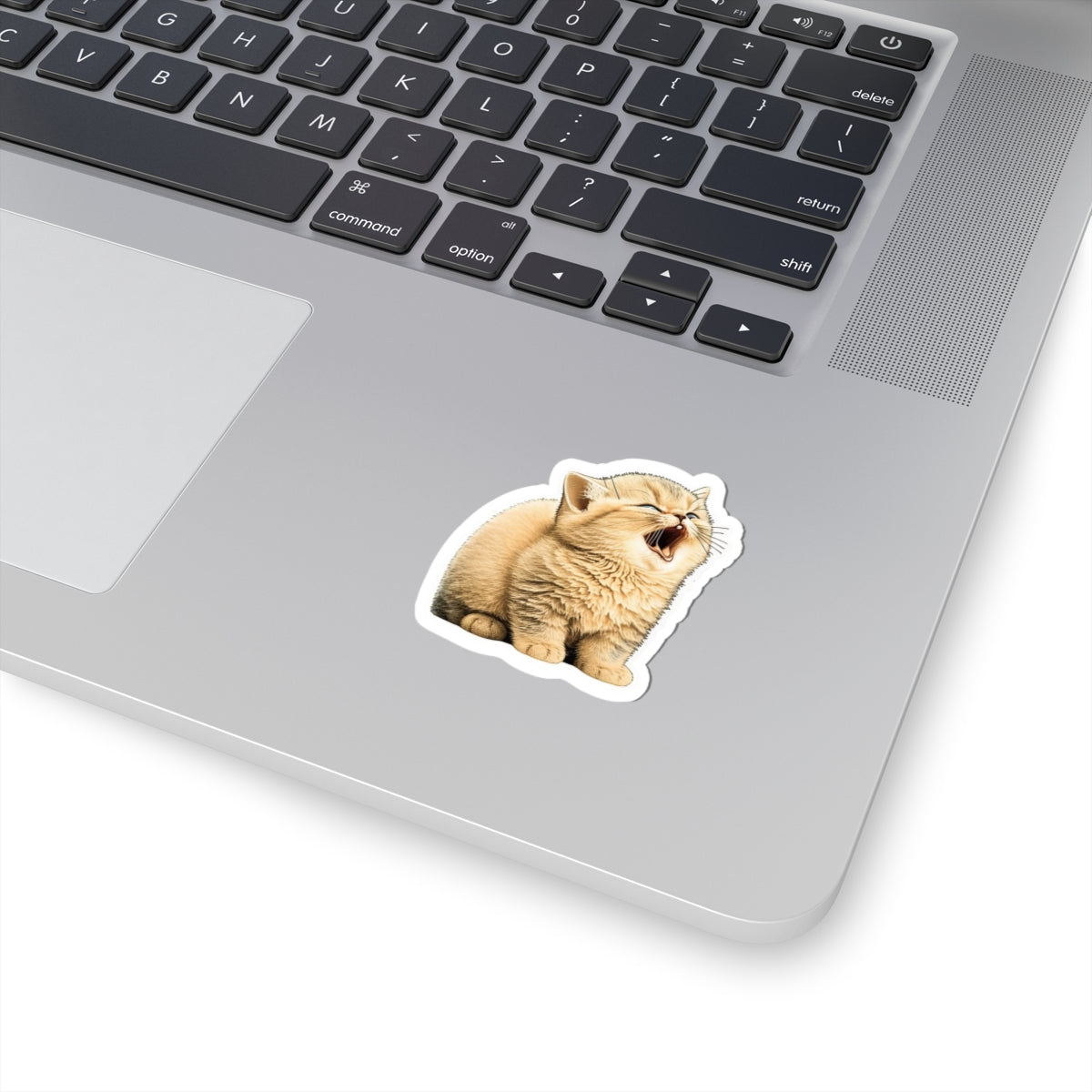 Kiss-Cut Sticker of cute funny golden chinchilla cat kitten  for your collection