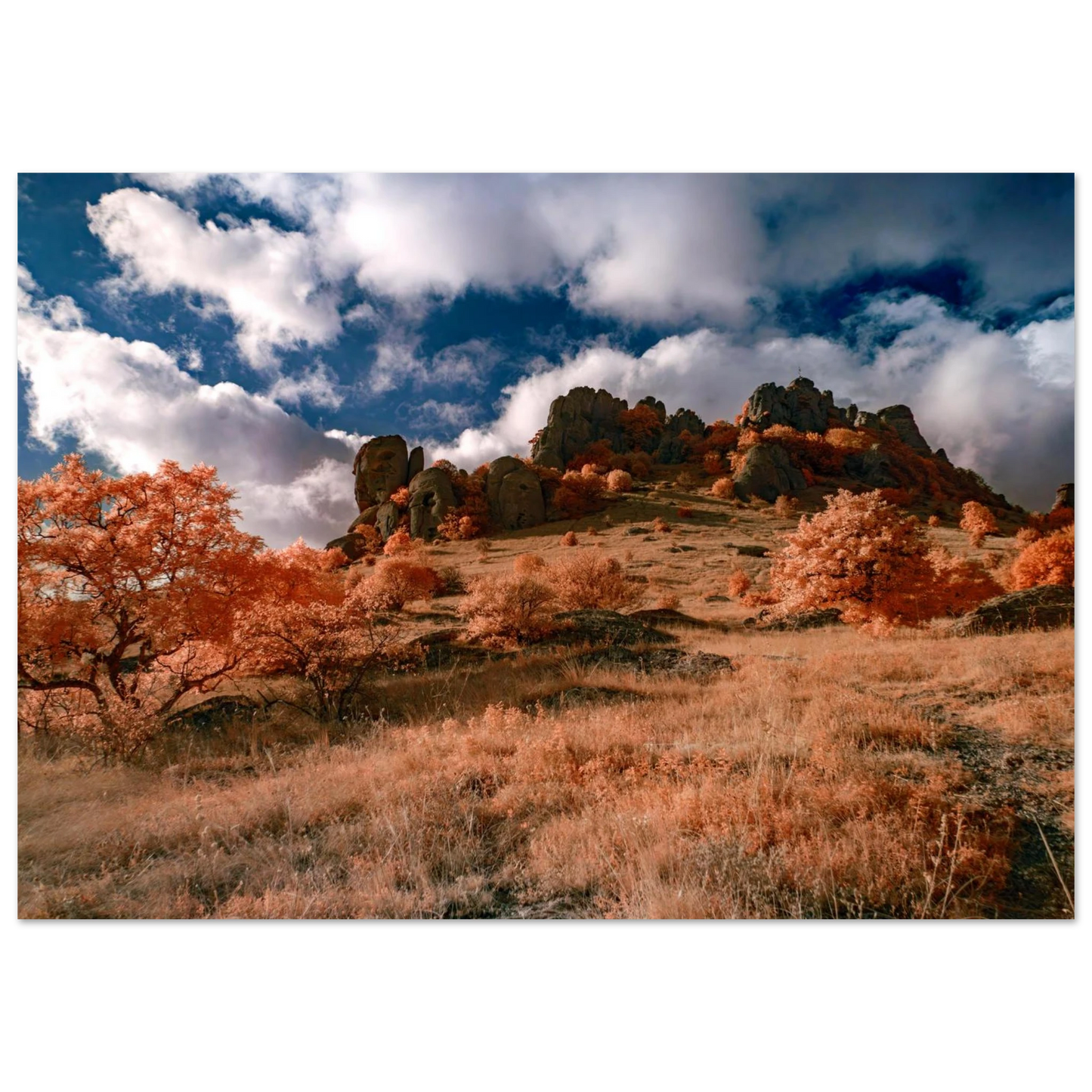 451a22ae-cbf1-41c0-9569-2b80ce00325b