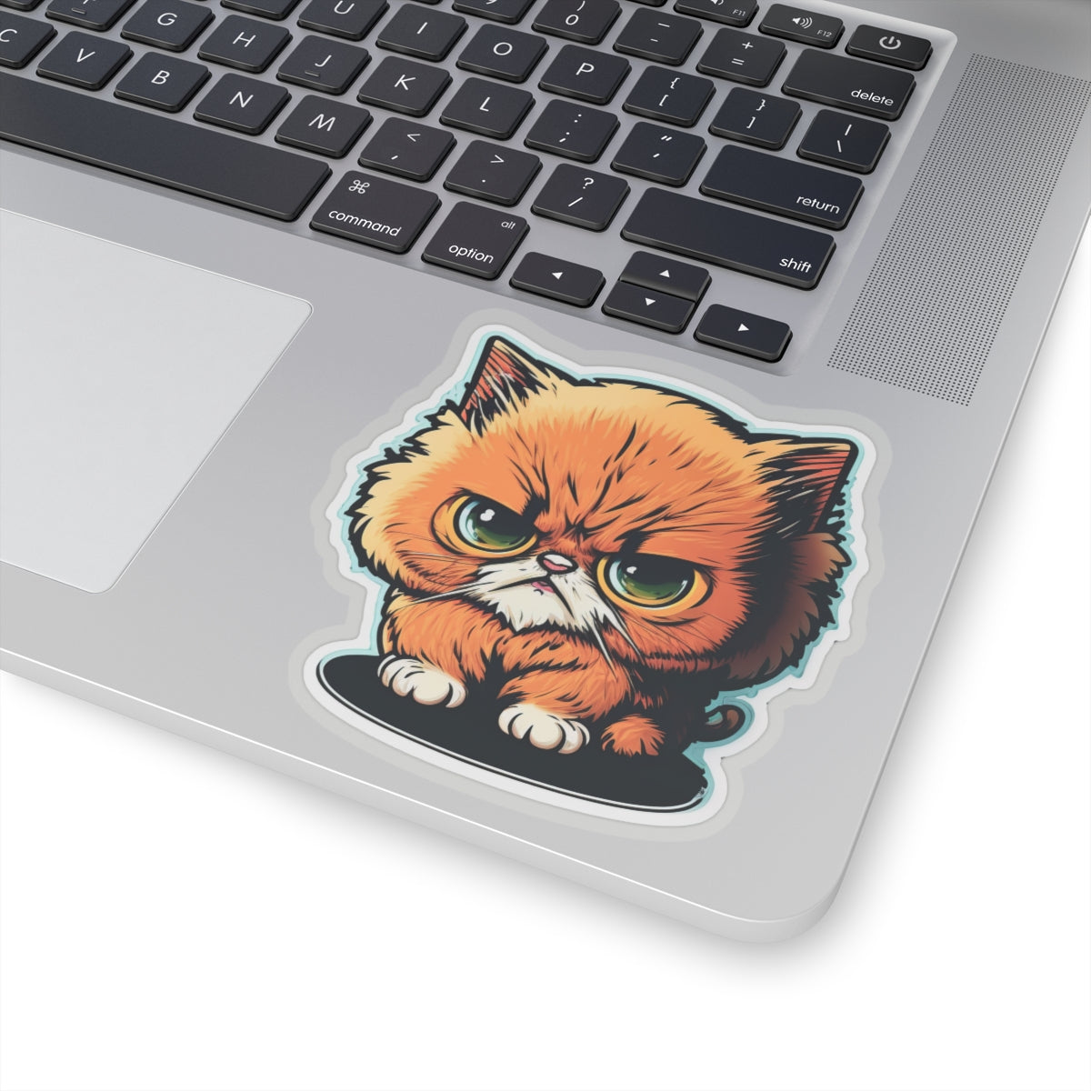 Kiss-Cut Sticker of cute funny angry cat kitten  for your collection