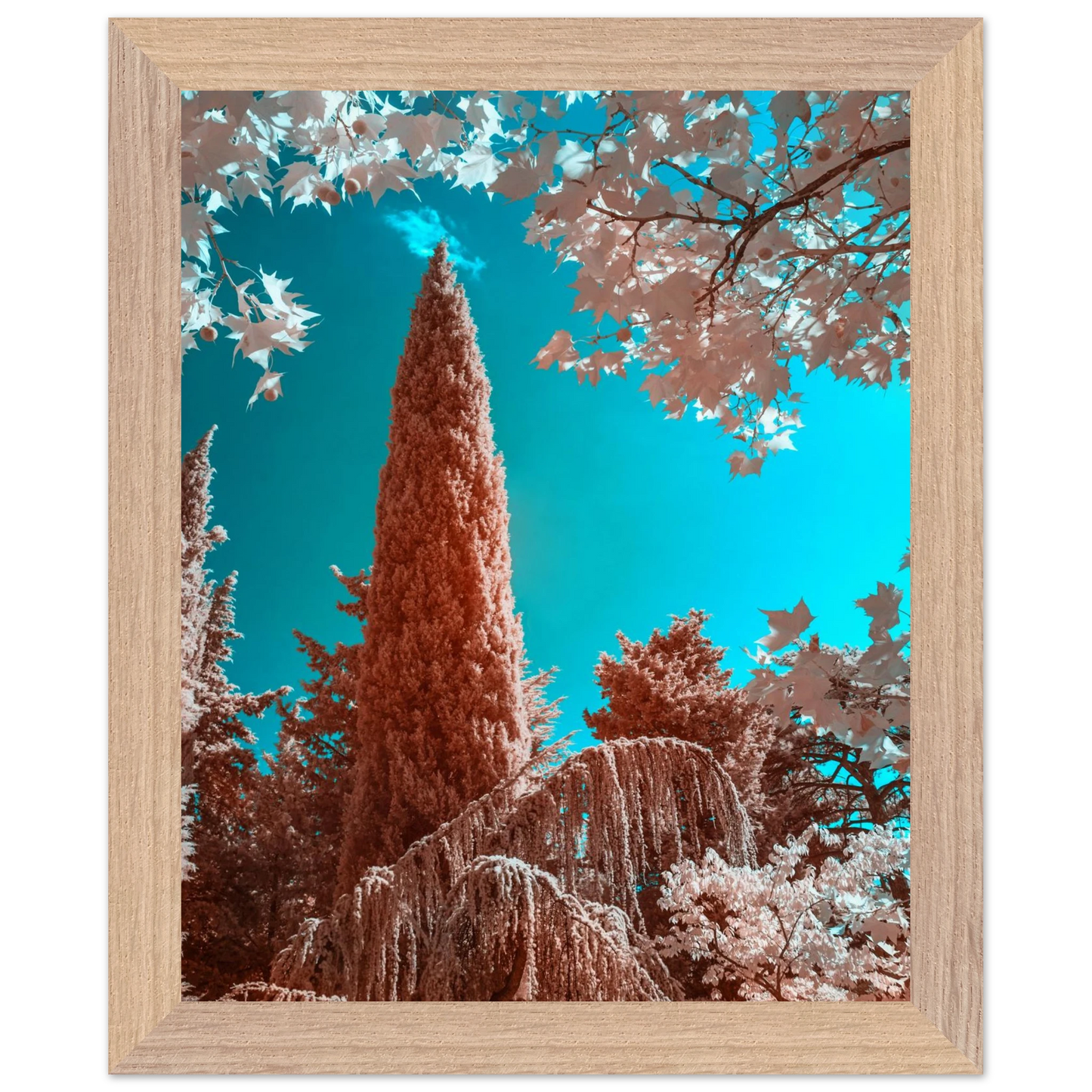 45802221-ac13-4728-b76a-9b6b05ae39f2