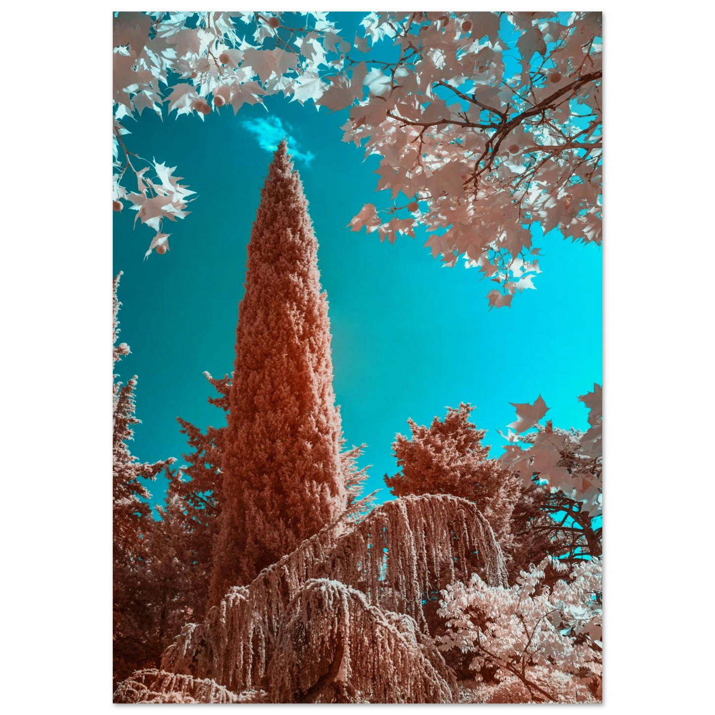 4940281b-be85-42db-aedb-c94a564d3f9a