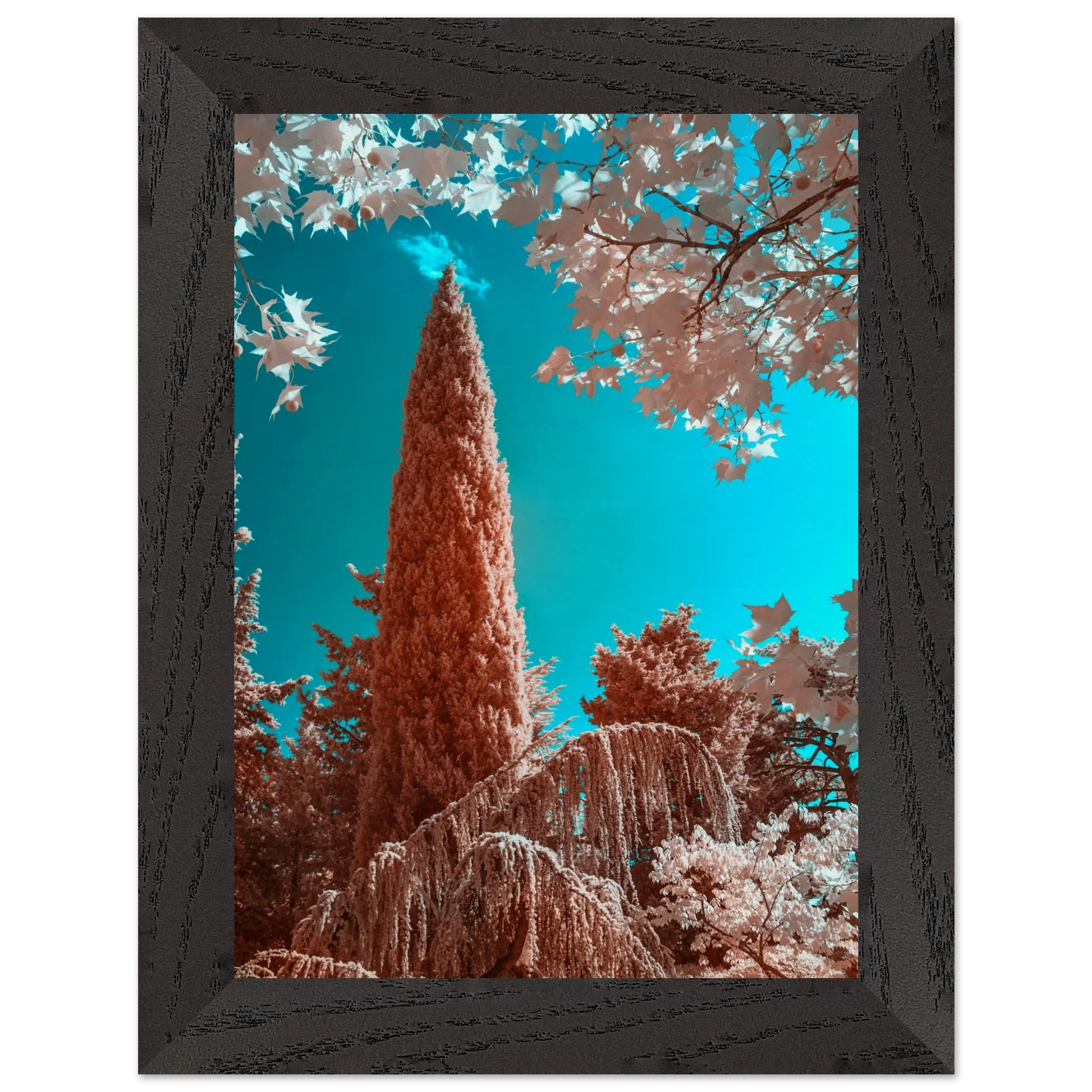 499859bc-7ef5-4840-a670-7449cf15f286