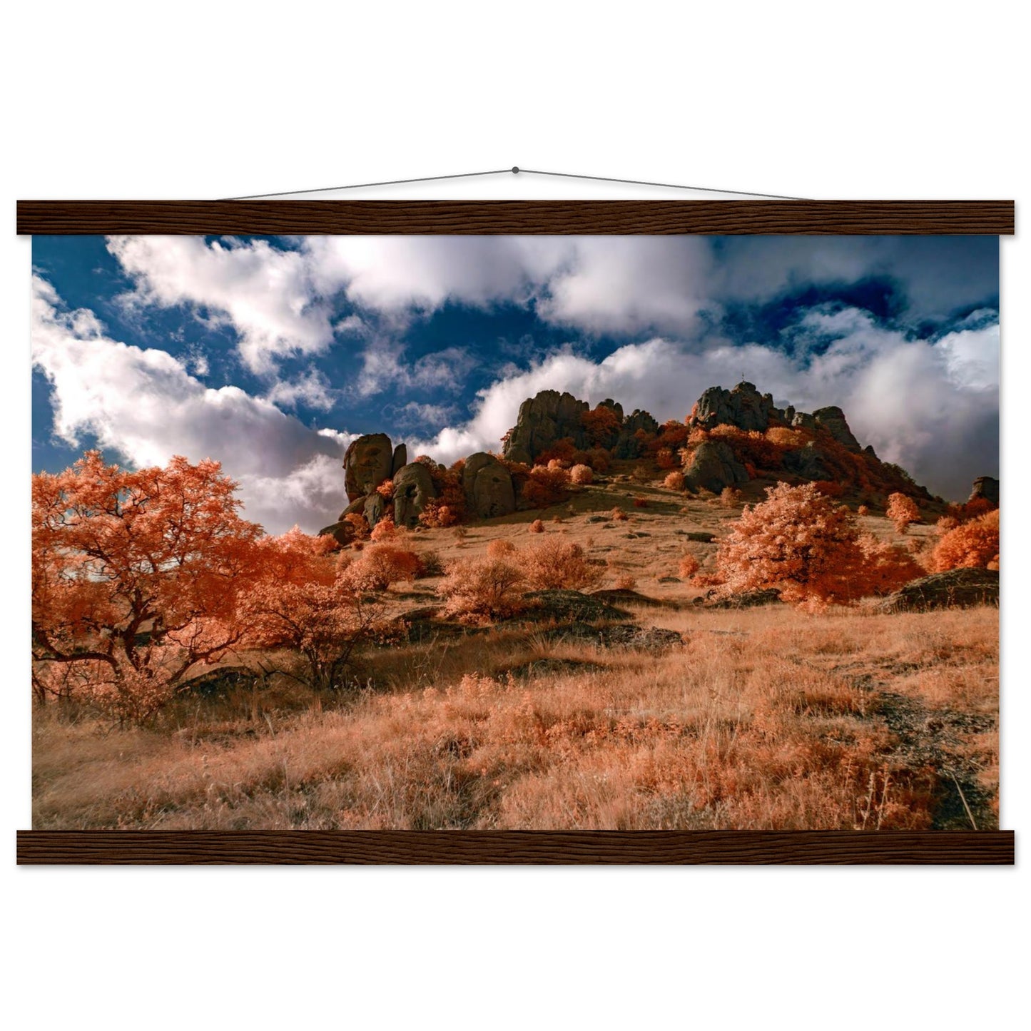 49aba46d-c603-4c8a-a13c-623ec4241eae