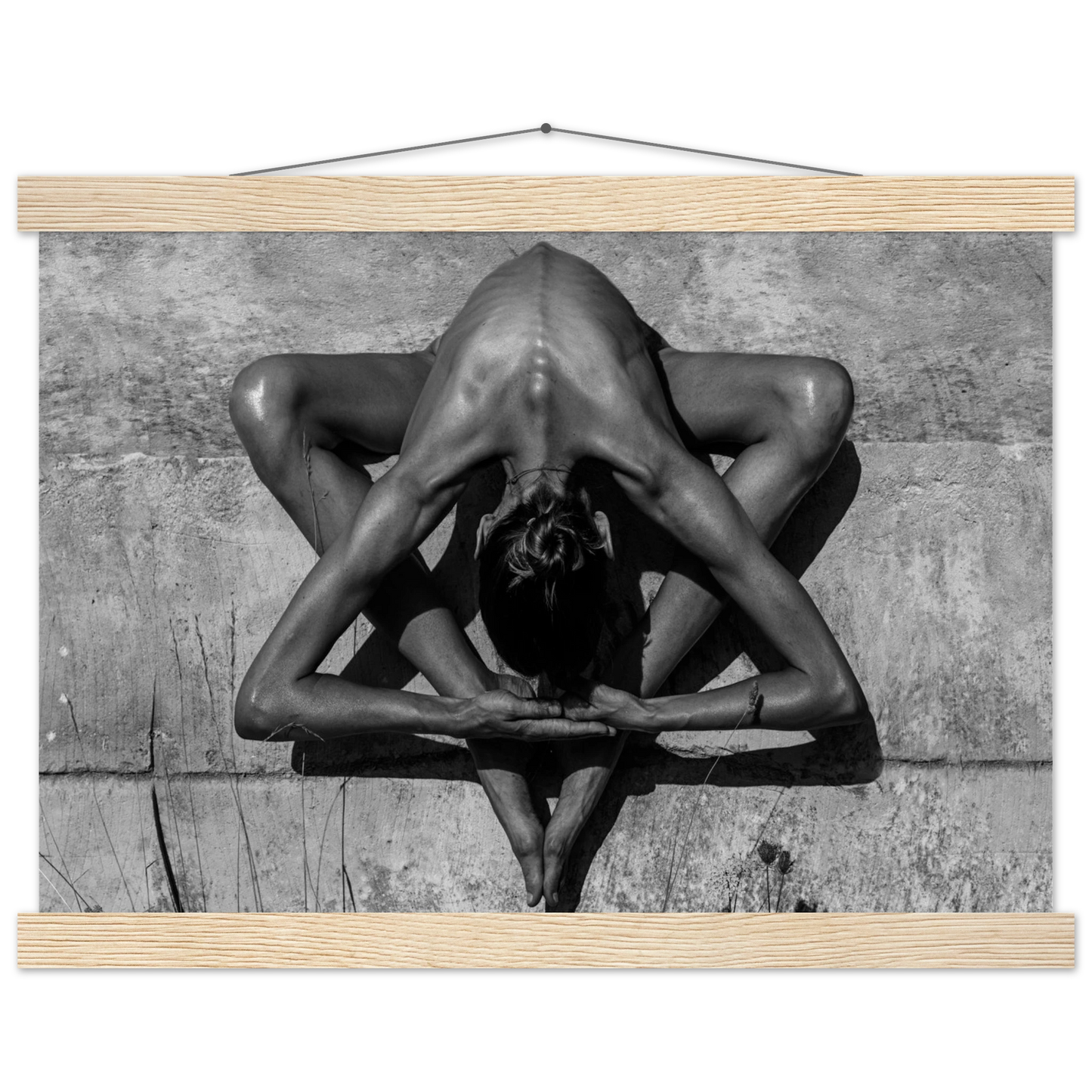 49d29397-b1b8-47b1-8463-6777c742b93b