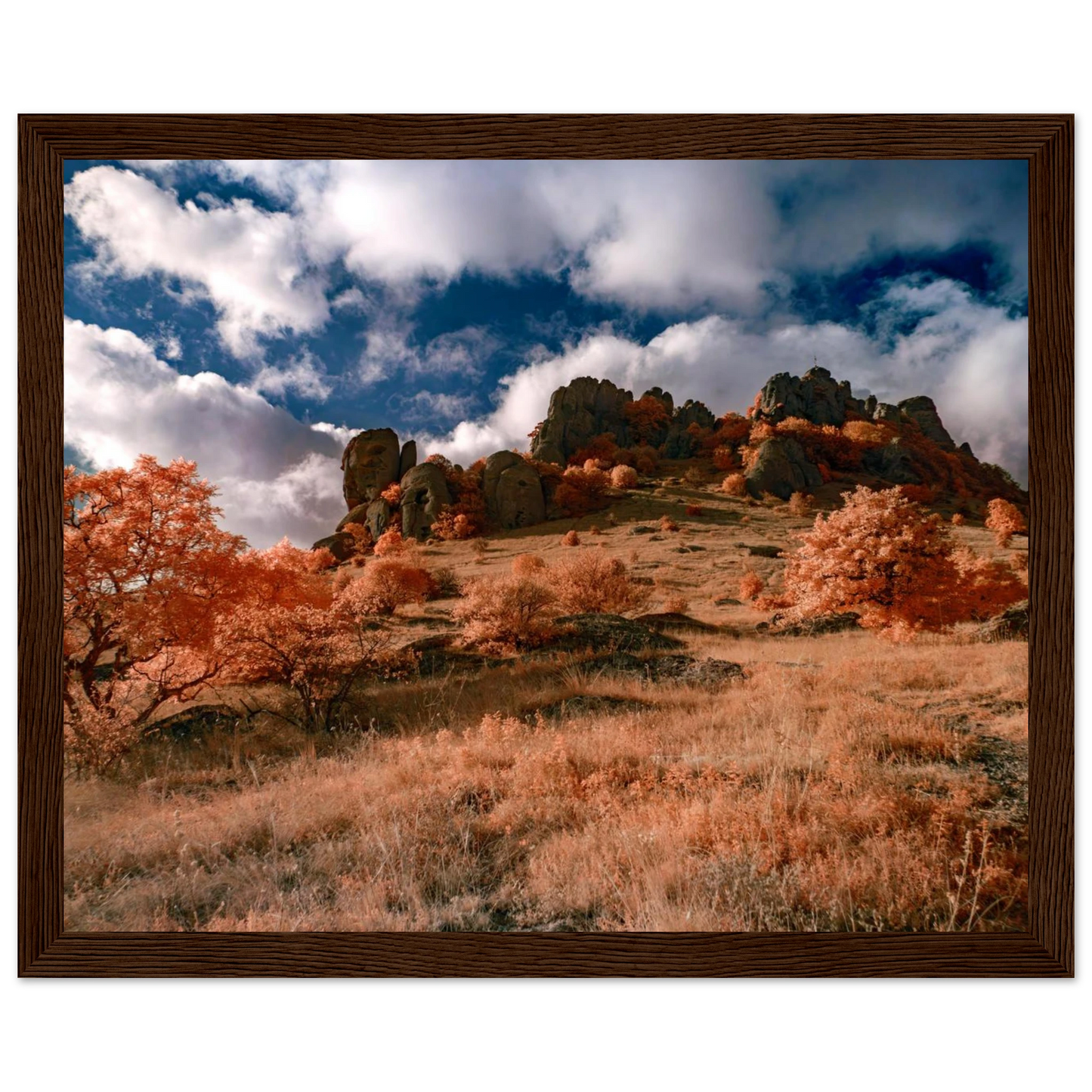 4aa88245-8de3-446a-b75b-e3c61ee1c4bb