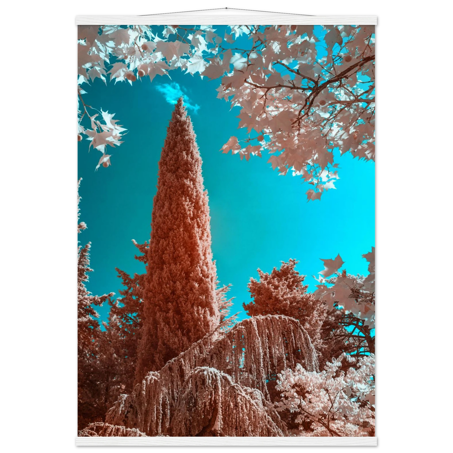 4ac79117-e286-4520-ae43-9f46ccb41ee0