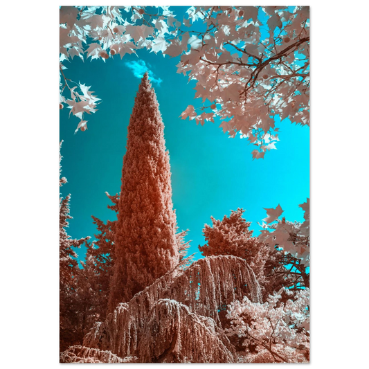 4b8699f1-b697-4e8a-bd2c-51798fe6f30f